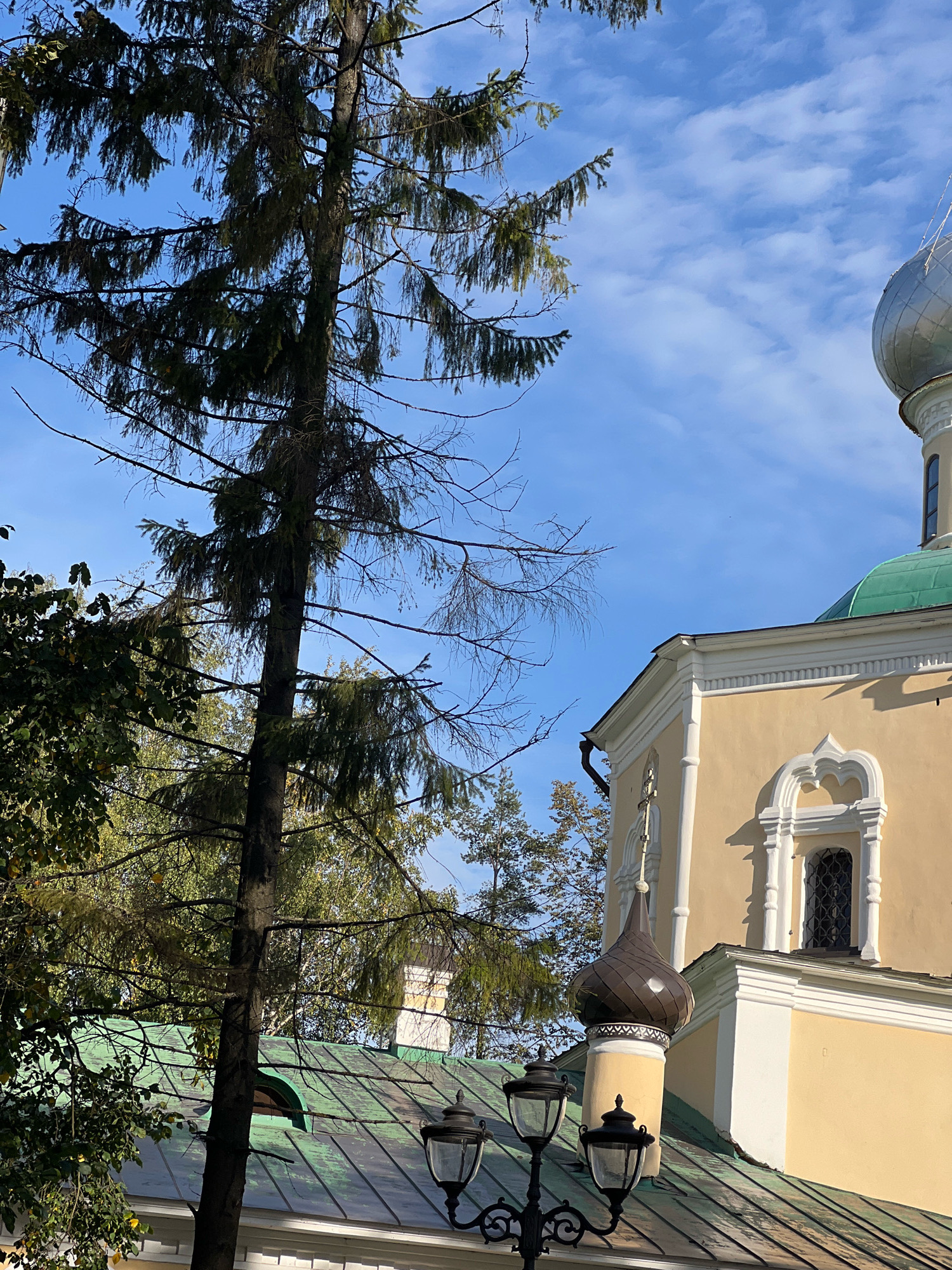 The image shows a close-up view of the upper portion of a yellow building with architectural details. The building has a prominent green roof and a silver dome is visible in the upper right corner. A smaller, dark, onion-shaped dome is also present in the foreground, to the left of the main building. Several black lampposts with glass globes are positioned on the roof in the lower part of the image. A tall, dark-barked tree with sparse branches and needles dominates the left side of the frame, extending upwards into a clear blue sky with wispy white clouds. The setting appears to be outdoors, possibly a park or a religious site, given the architectural style. The lighting suggests it is daytime, with sunlight casting shadows. There are no people or animals visible in the frame.