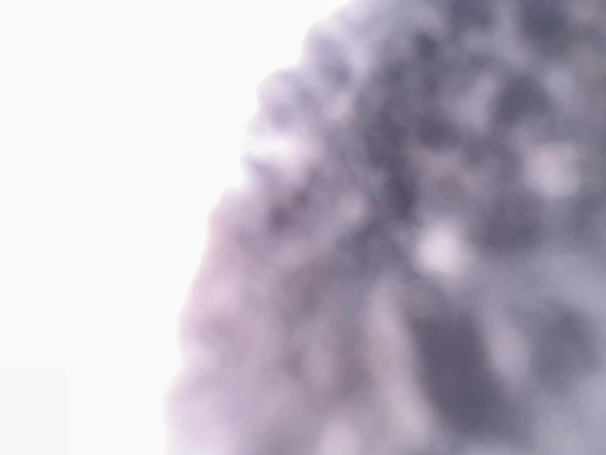 This is an abstract, out-of-focus image with a bright white background on the left side, transitioning to a blurry, dark grey and purple mass on the right. The texture of the blurry mass is soft and cloud-like, with lighter patches interspersed within the darker areas. There is no discernible text, people, objects, or specific scene. The abstract nature of the image makes it difficult to determine any activity or event taking place, nor any specific details about time of day, weather, location cues, or emotions. The overall impression is one of ethereal softness and muted colors.