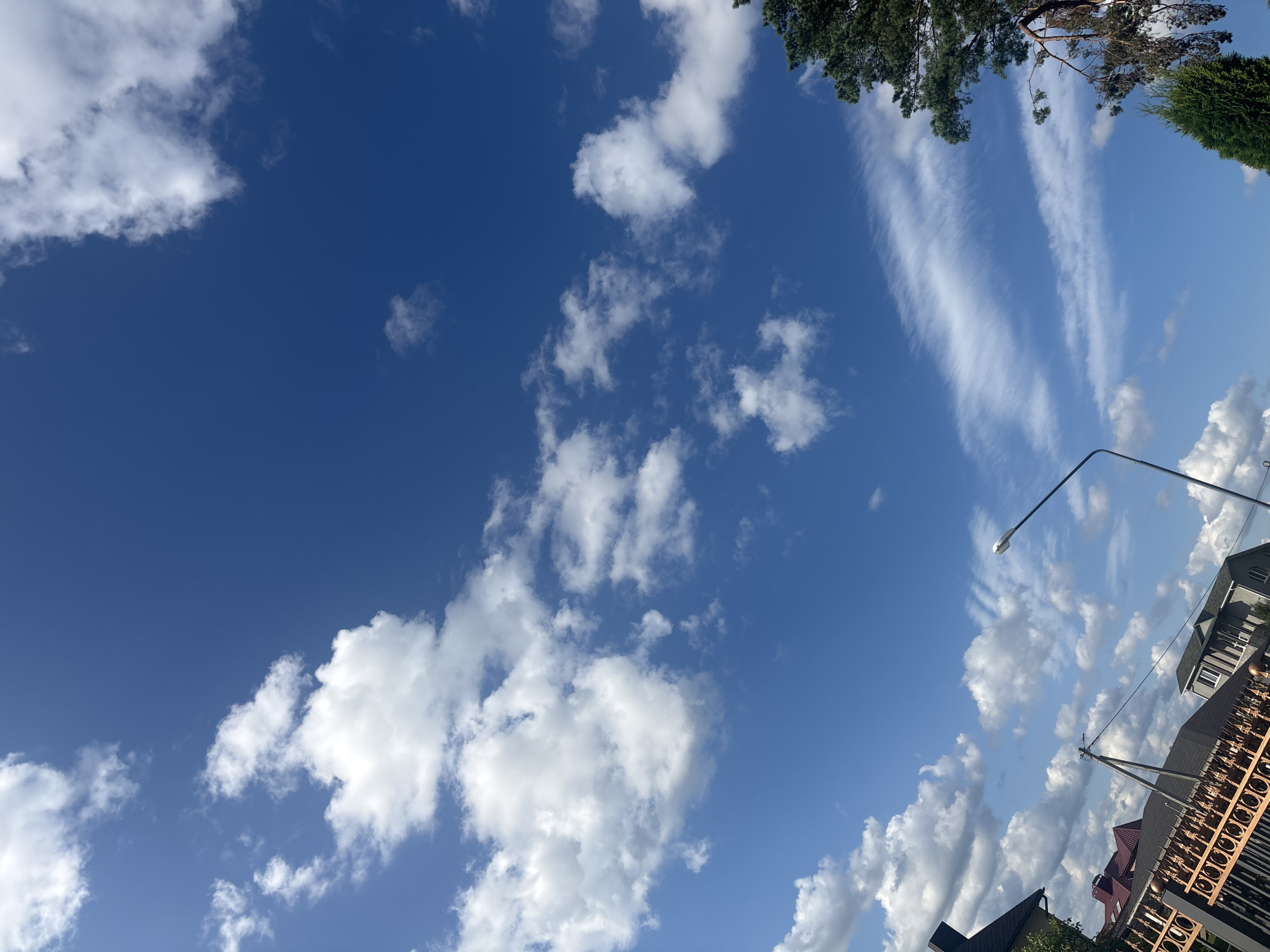 A low-angle shot captures a clear blue sky dotted with fluffy white clouds. In the upper right and left corners, the tops of green trees are visible. Two distinct streaks of wispy cirrus clouds stretch across the sky, forming parallel lines. A streetlamp with a bright white light is positioned in the mid-right of the frame, angled upwards. Below the sky, houses and a decorative fence are partially visible, suggesting a suburban or residential setting. The overall scene evokes a bright, sunny day. The orientation of the image is such that the sky occupies the majority of the frame, emphasizing the vastness of the open air. There is no visible text in the image.