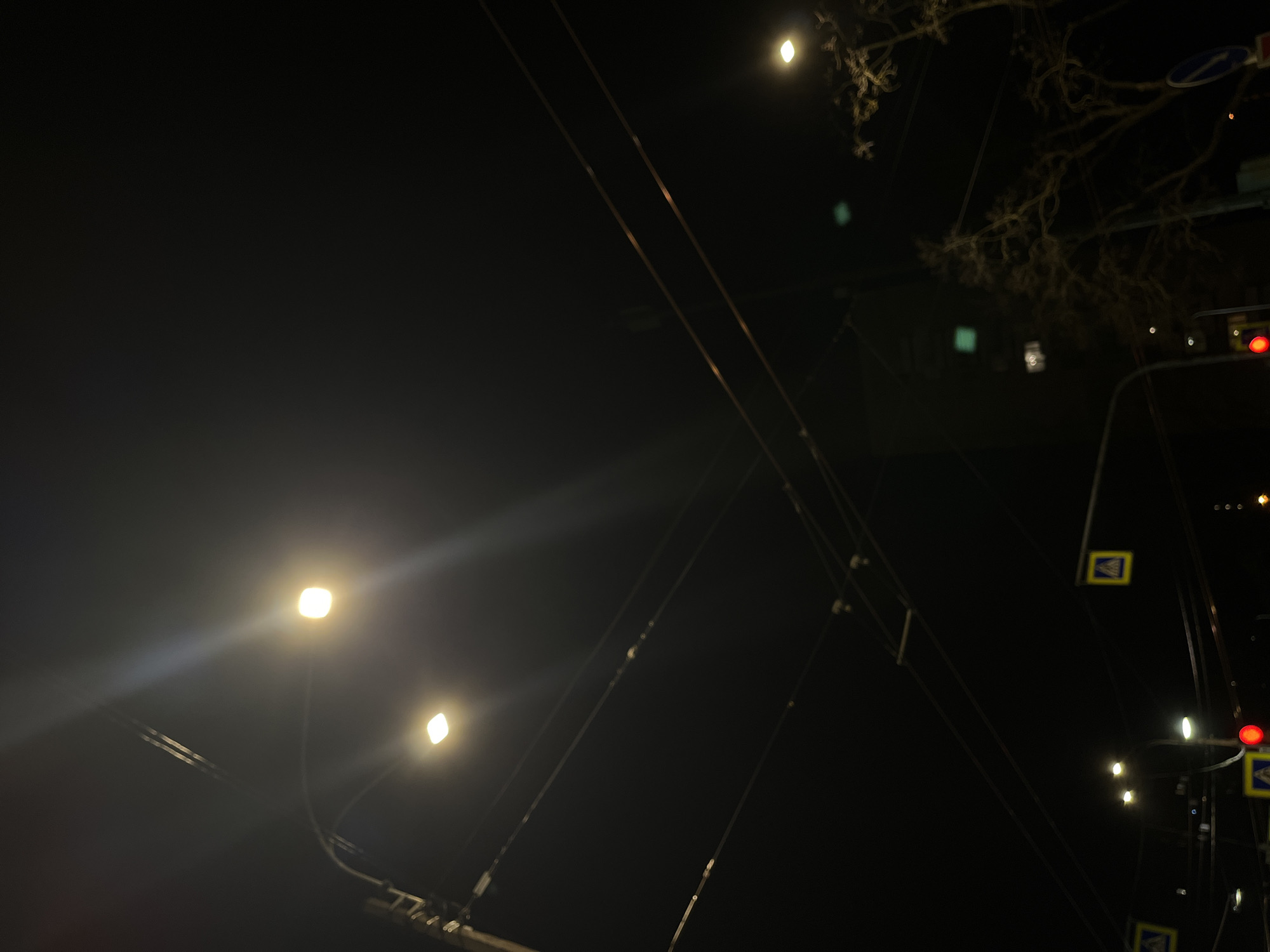 The image depicts a night scene in Saint Petersburg, Russia. A street with streetlights and overhead power lines is visible. A traffic light is showing red. There are also pedestrian crossing signs. Bare tree branches are visible in the upper right corner.