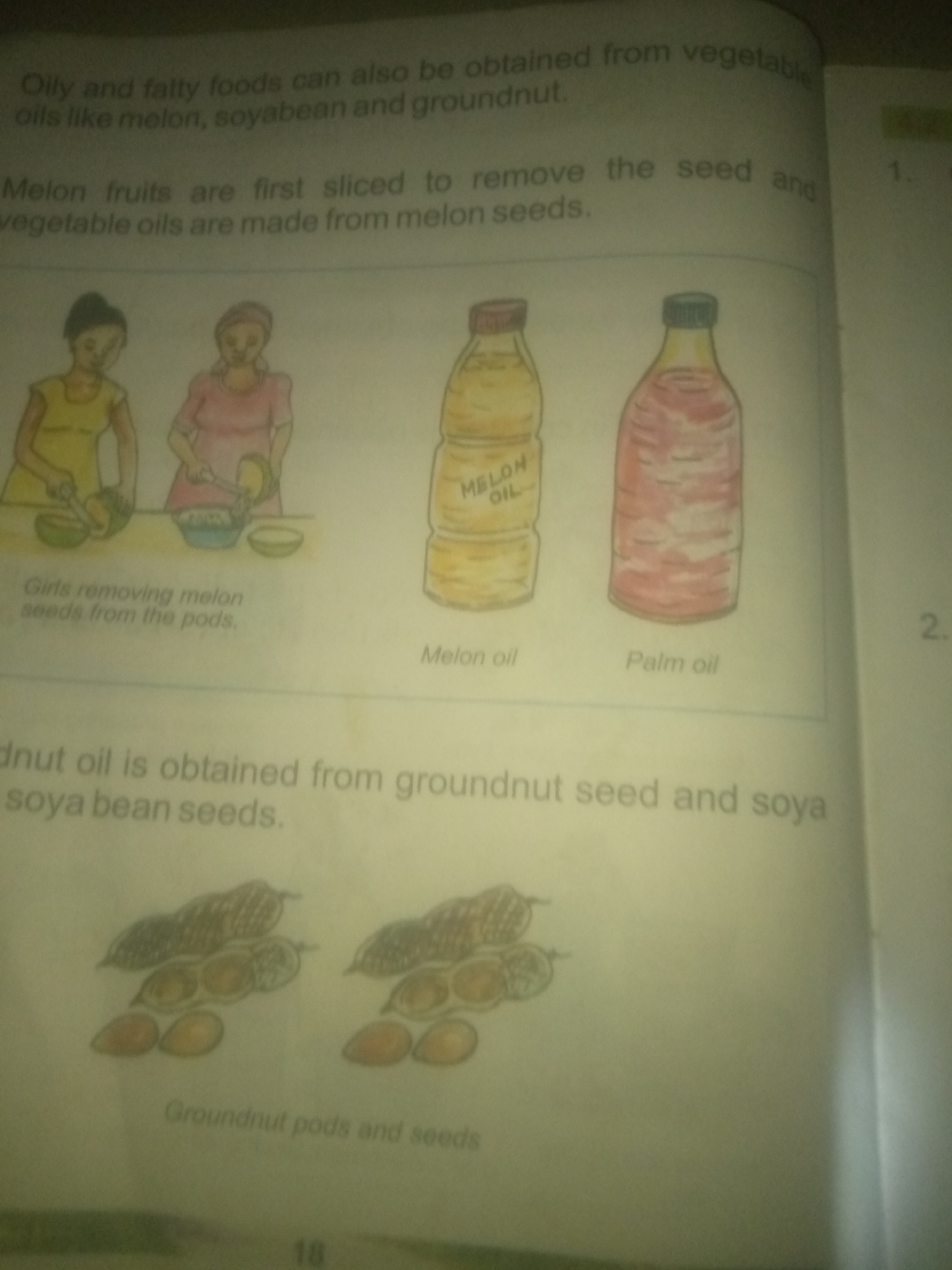 The image is a page from a book or educational material, featuring text and illustrations related to oils derived from plants. The top text states "Oily and fatty foods can also be obtained from vegetable oils like melon, soyabean and groundnut." Below this, it reads, "Melon fruits are first sliced to remove the seed and vegetable oils are made from melon seeds."
The illustrations depict:
1. Two figures, appearing to be young girls, are shown preparing melons. One girl in a yellow garment is shown cutting a melon in half. The other girl in a pink garment is scooping seeds from a melon into a bowl. A caption below reads "Girls removing melon seeds from the pods."
2. Two bottles are illustrated. The first bottle is filled with a yellow liquid, and a label on it reads "MELON OIL". A caption below reads "Melon oil".
3. The second bottle is filled with a pinkish-red liquid, and a caption below reads "Palm oil".
Further down, there is text that reads, "dnut oil is obtained from groundnut seed and soya bean seeds." Below this, there are illustrations of groundnut pods and seeds. A caption reads "Groundnut pods and seeds".
The bottom of the page shows the number "18".
This image does not contain any information about the city of Jauro Yinu, Nigeria.
