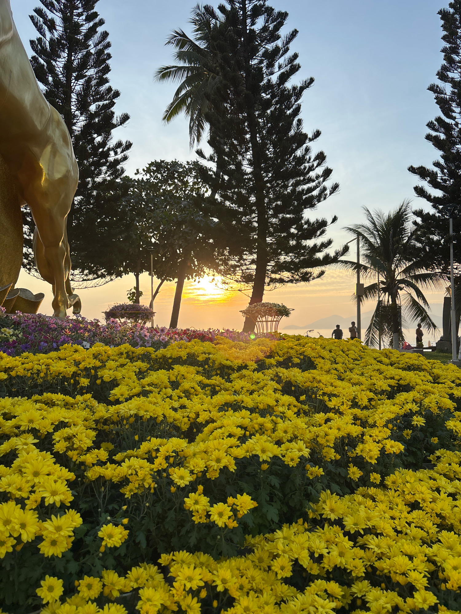 A golden statue of a horse's legs is visible in the upper left quadrant of the frame, positioned in front of a dense flower bed dominated by bright yellow chrysanthemums in the foreground. Behind the flowers, a pathway or garden area is lined with more colorful flowers, including purple and pink varieties. Tall pine trees and palm trees form a silhouette against the sky. The sun is low on the horizon, casting a warm glow and creating a sunset effect. In the middle ground, several people are standing and silhouetted against the bright sky, near a body of water. The scene appears to be a park or garden area in Nha Trang, Vietnam, likely during a public event or festival, given the elaborate floral displays and the presence of the horse statue.