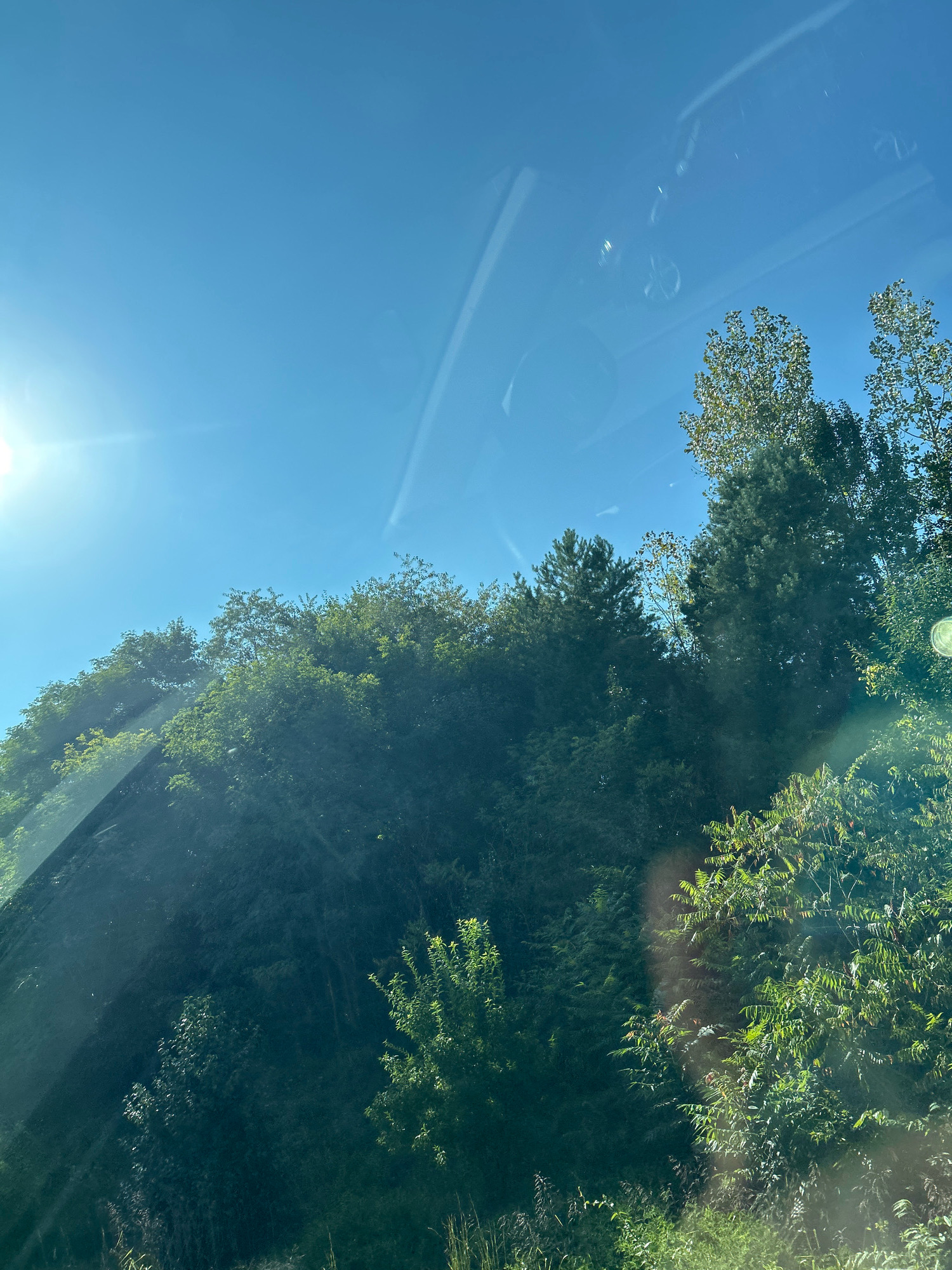 The image depicts a view from inside a vehicle, looking out at a lush green hillside covered in trees and foliage under a clear blue sky. The sun is visible in the upper left corner, casting lens flare and light streaks across the scene, suggesting it is daytime. Reflections of the vehicle's interior are visible on the windshield, including what appears to be a steering wheel and dashboard elements. The lower portion of the image shows the ground with more vegetation. The location is identified as Collier Township, United States of America.