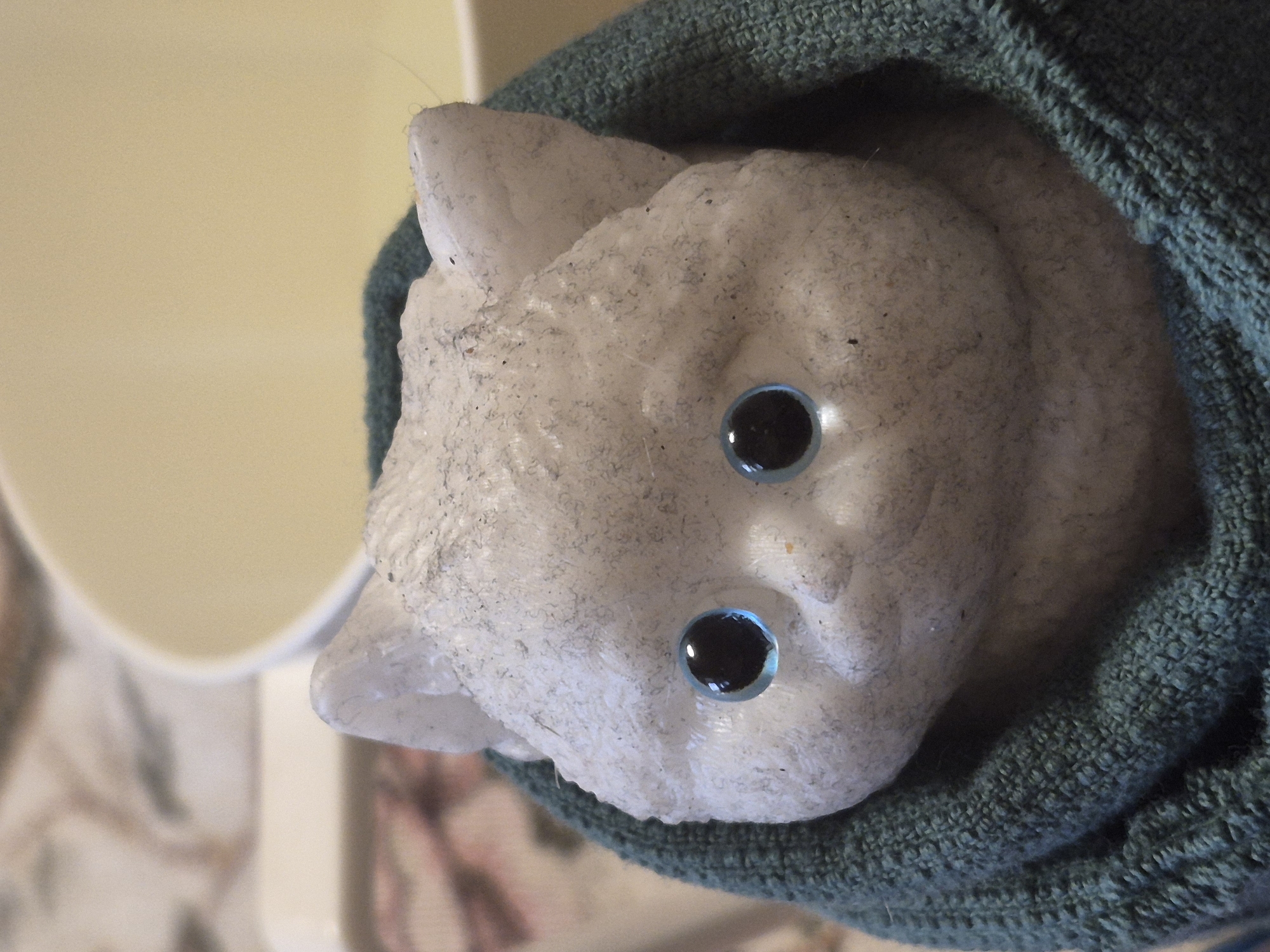 A white cat figurine with blue eyes is nestled in a dark green terrycloth sock. The figurine has a textured surface with visible specks and appears to be made of a hard material. The background is blurred, showing a light-colored bowl and a patterned surface. The image is a close-up shot, focusing on the cat figurine. There is no discernible location in Yerevan, Armenia.