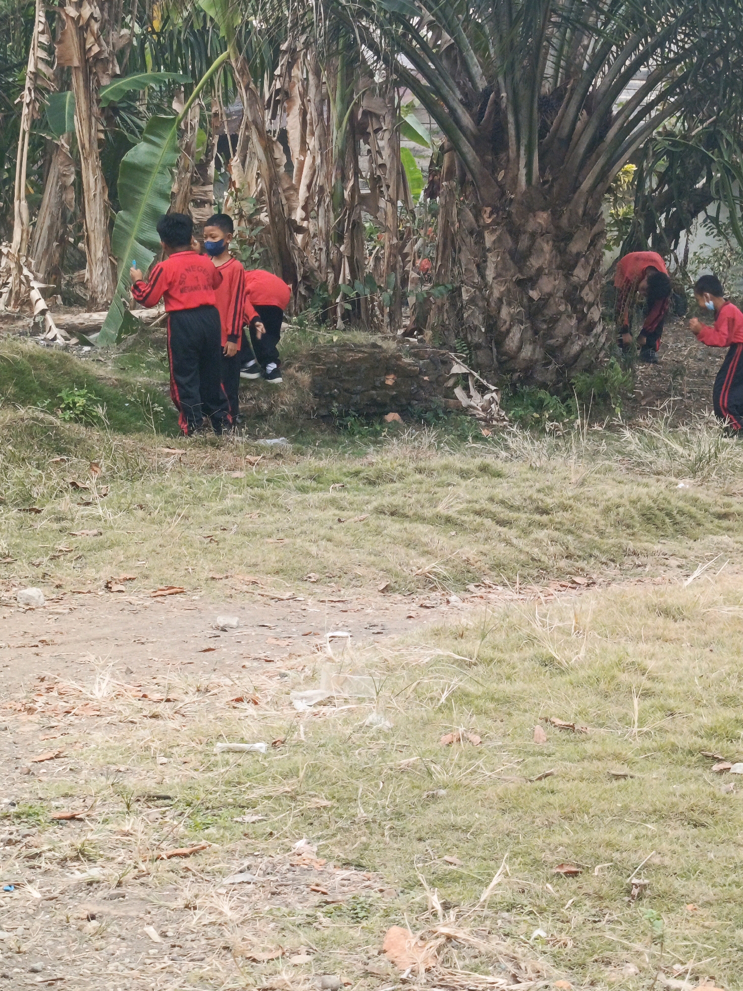 In the city of Megang Sakti II, Indonesia, five children in matching red and black uniforms are seen engaged in an outdoor activity near a cluster of trees. Two children in the foreground are facing away from the camera, one of whom appears to be holding a blue object. A third child in the center is partially obscured. Further back, two more children are visible, one of whom is bending down near the base of a large tree with a textured trunk, possibly a palm tree. The environment is a natural setting with a dirt path and grassy areas, littered with dry leaves and some plastic debris. The overall impression is of a group of students participating in an outdoor class or activity.
