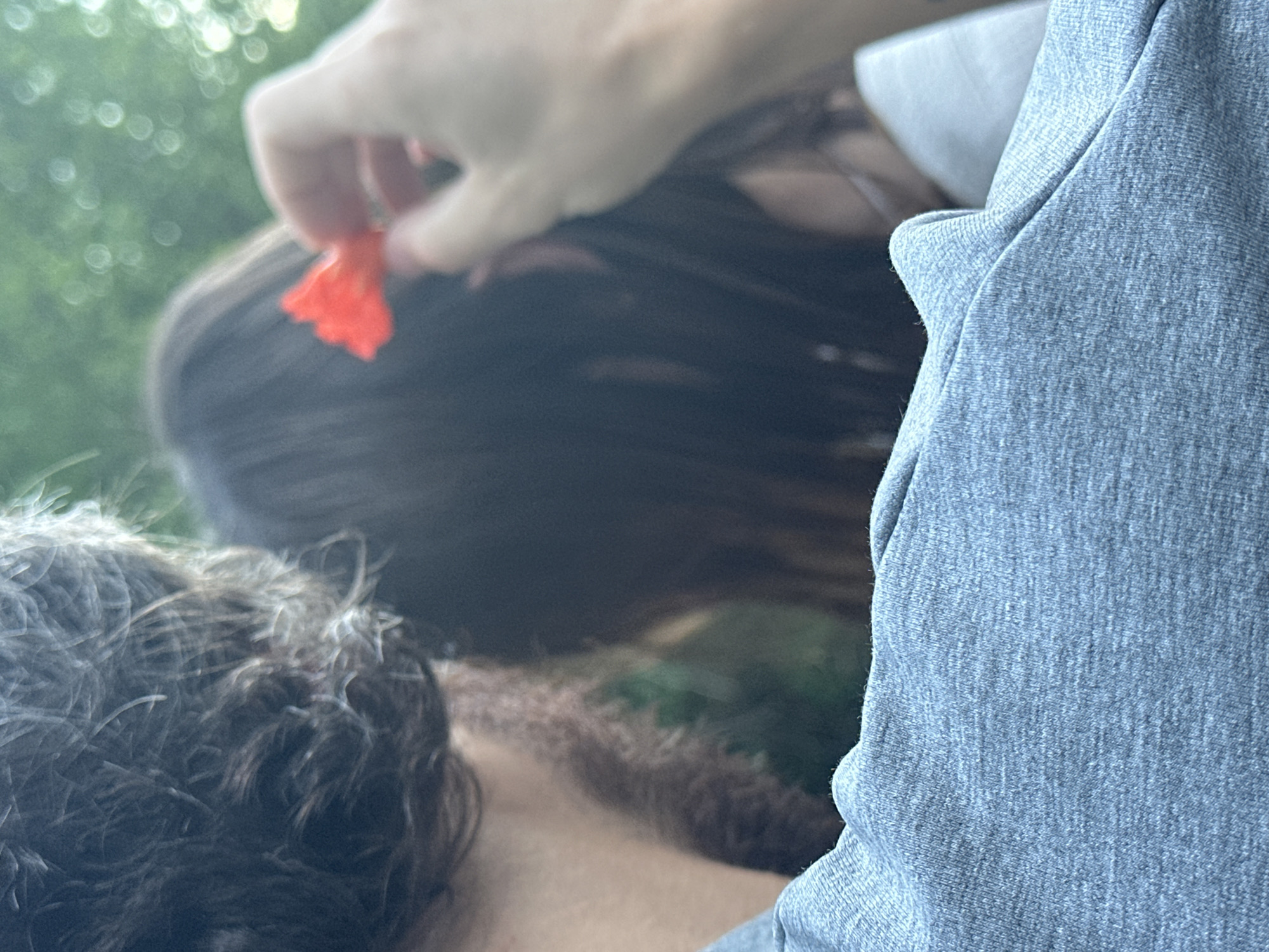 An out-of-focus image shows a person's gray t-shirt in the foreground. In the background, another person's dark hair is visible, with a blurred hand holding a small red flower near their head. The setting appears to be outdoors, possibly in a park or garden, with dappled light suggesting trees and foliage. The location is identified as Čučuci, Montenegro.