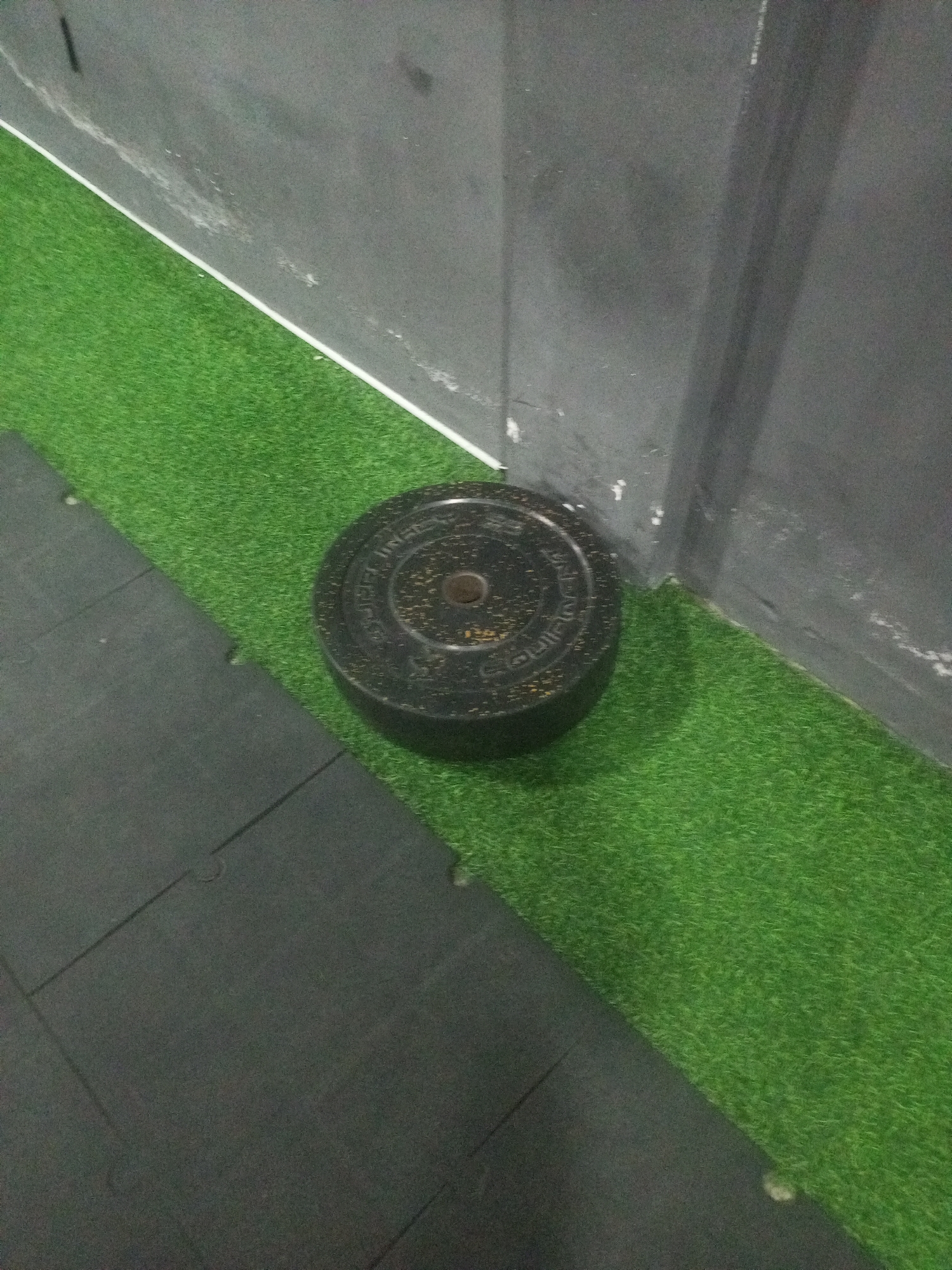 In a gym in Juan Griego, Venezuela, a black weight plate with gold speckles rests on a strip of artificial turf. The turf borders a dark grey wall on one side and a black rubber mat on the other. The scene is indoors, with the lighting appearing somewhat dim. There are no people visible in the image, and no actions or interactions are taking place. The focus is on the weight plate and its immediate surroundings.