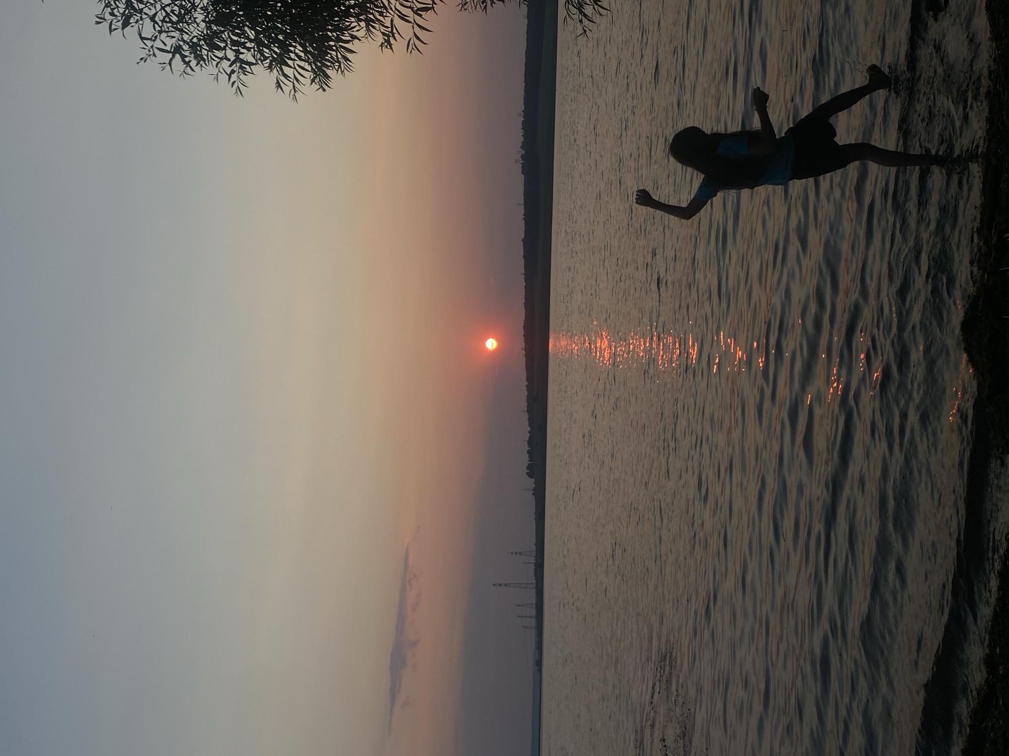 The image depicts a serene sunset scene over a body of water, likely a lake or river, in Smolino, Russia. A single person, silhouetted against the vibrant sky, is the central subject. The person, appearing to be a young individual, is in motion, captured mid-jump or dive into the water, with legs extended and arms outstretched. They are wearing a dark-colored t-shirt and shorts.
The setting is a tranquil natural environment. The sky transitions from a soft, dusty rose and orange hue near the horizon where the sun is setting, to a pale blue or grey overhead. Wispy clouds are visible in the distance. The sun itself is a bright, round orb, casting a shimmering reflection across the rippling surface of the water. The water appears calm, with gentle waves creating textured patterns. On the right side of the image, the dark outline of the shoreline is visible, with hints of foliage. In the far distance, along the horizon, faint silhouettes of trees and what appear to be power transmission towers suggest a rural or semi-rural landscape.
The time of day is clearly sunset, indicated by the warm colors in the sky and the low angle of the sun. The overall mood evoked is one of freedom, joy, and perhaps a touch of adventurous playfulness, as suggested by the person's dynamic pose and the vast, open natural setting. There is no visible text in the image. The scene is captured in a natural, candid moment, highlighting the beauty of the natural world and the simple pleasure of outdoor activity.