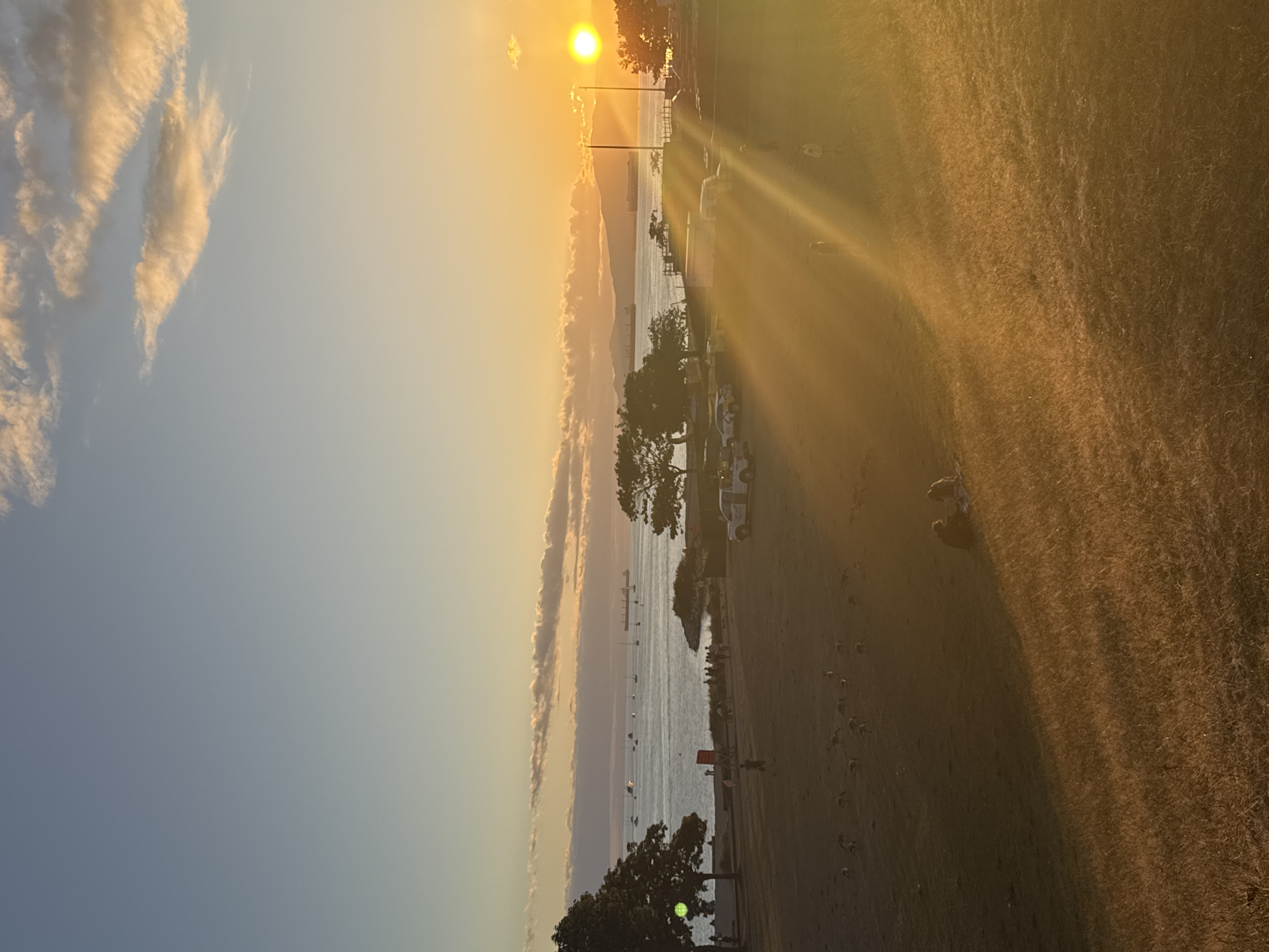 This image captures a sunset scene at Spanish Banks in Vancouver, Canada. The sun is setting over the water, casting a warm, golden glow across the landscape. In the foreground, a grassy hill slopes down towards the beach, with two figures sitting on the grass in conversation. Further down the hill, a flock of birds grazes on the grass. A paved path runs along the edge of the beach, with several cars parked nearby. In the distance, the waters of the Pacific Ocean are dotted with several sailboats and cargo ships. The sky is a gradient of soft blues and oranges, with a few wispy clouds catching the last rays of sunlight. The overall atmosphere is serene and peaceful, with the natural beauty of the West Coast on full display.