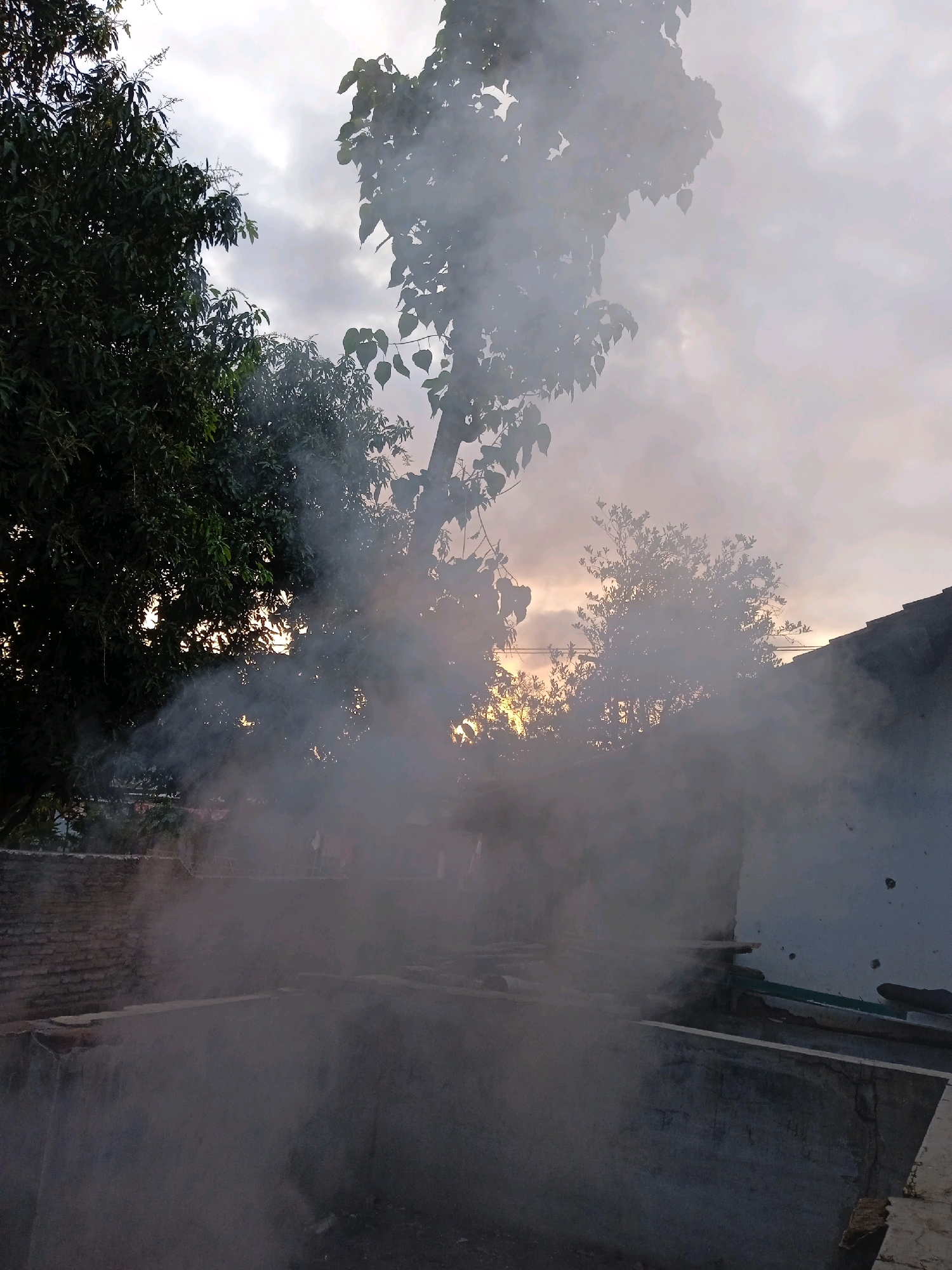 The image depicts an outdoor scene at dusk, characterized by significant smoke accumulation obscuring parts of the environment. In the foreground, two concrete structures, resembling shallow pools or basins, are visible, filled with smoke. The left structure has a brick wall bordering it, while the right structure appears to be open.
Behind these structures, the scene is further enveloped in smoke, with the silhouettes of trees and a building's roof visible. The building's roof is tiled and dark, situated on the right side of the image.
The sky above is overcast with clouds, and a faint glow suggests the setting sun is behind the clouds, creating a diffused light. Trees with dense foliage frame the upper left and central portions of the image, their leaves partially visible through the smoke.
The presence of smoke suggests activities such as burning or cooking. The setting and architectural elements, such as the brick wall and tiled roof, are consistent with residential or rural settings in Indonesia. Specifically, this scene could be from a neighborhood in Probolinggo, Indonesia, where open-air activities involving smoke are common. No individuals are explicitly visible in the frame.