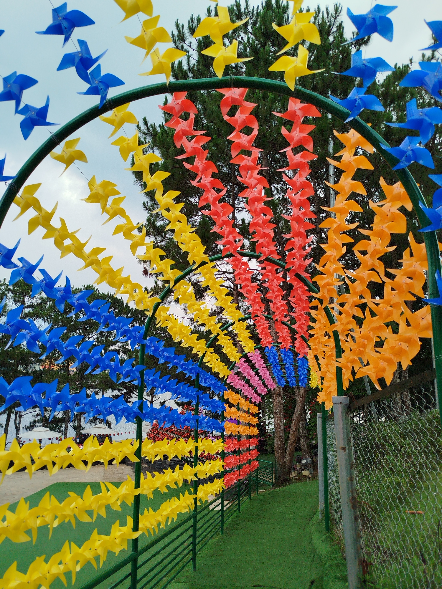 The image captures a vibrant archway, or tunnel, constructed from numerous colorful pinwheels, creating an eye-catching decorative feature in what appears to be an outdoor recreational area in Da Lat, Vietnam. The arch is made of a green metal framework, supporting strands of pinwheels arranged in distinct color sections.
Along the outer curve of the arch, the pinwheels are predominantly blue and yellow, forming alternating bands. Deeper into the archway, rows of red and orange pinwheels are visible, creating a warm contrast. Further inside, closer to the ground on the left side, smaller sections of pink and purple pinwheels add more variety to the color spectrum. The pinwheels are densely packed, giving the impression of a continuous, flowing canopy of color.
The ground beneath the archway is covered in lush green artificial turf or short-cut grass, suggesting a pathway or designated leisure area. In the background, tall pine trees with dark green needles stand prominently, their natural texture contrasting with the bright artificial colors of the pinwheels. On the right side of the image, a chain-link fence marks a boundary, with more greenery visible beyond it. In the far background on the left, hints of white structures, possibly umbrellas or tents, can be seen, suggesting other amenities.
The sky overhead is a soft, overcast grey, indicating daytime without direct sunlight, which contributes to the gentle, even illumination of the scene. The overall atmosphere conveyed is joyful and whimsical, suitable for a park or tourist attraction. There is no visible text in the image.