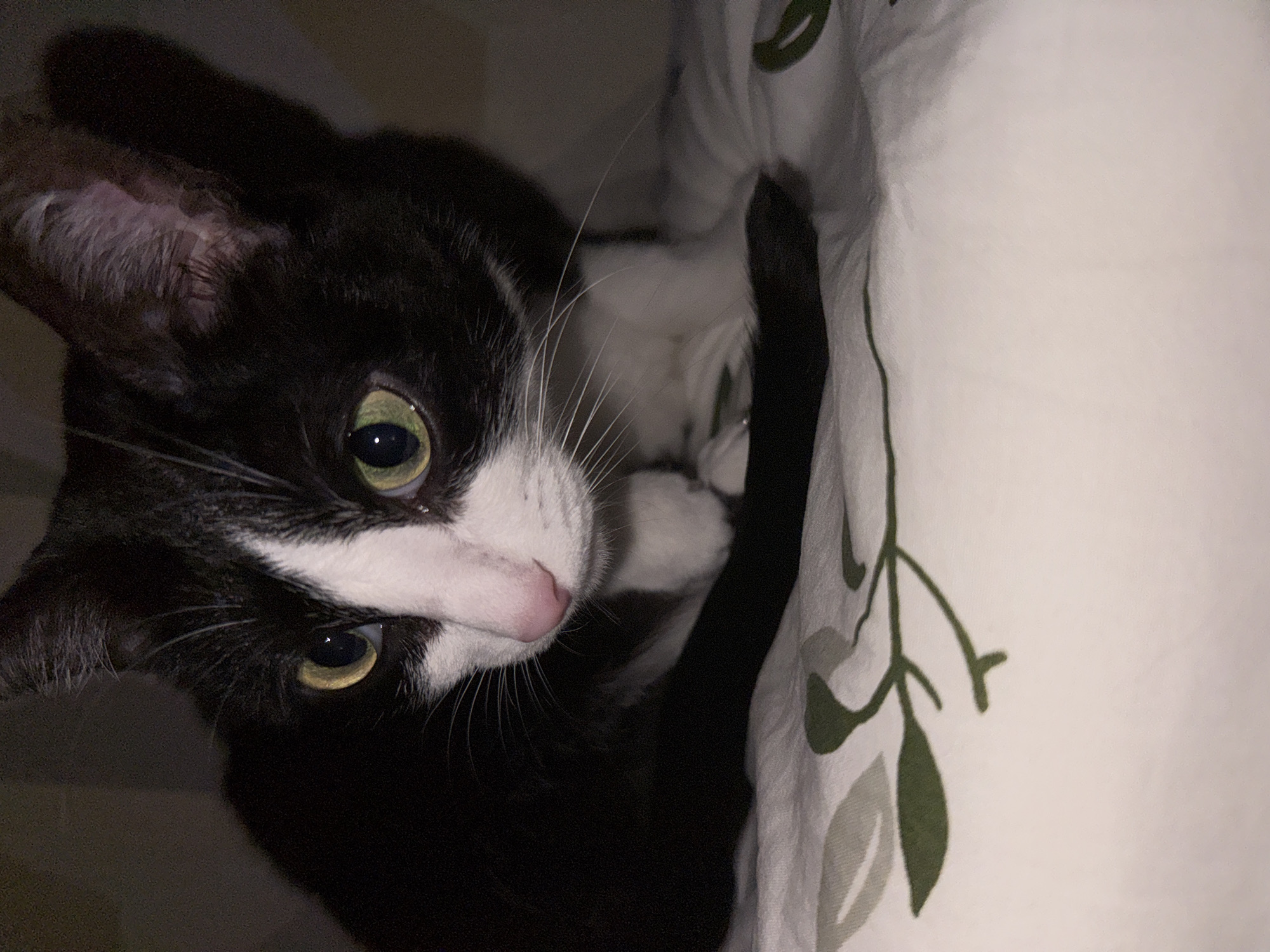 A close-up, slightly rotated image captures a black and white cat lying on a light-colored surface adorned with green leaf patterns. The cat's face, featuring yellow-green eyes and a pink nose, is directed towards the camera. Part of the cat's body is visible, including one of its paws. The location is not discernible from the image. The image contains no people.