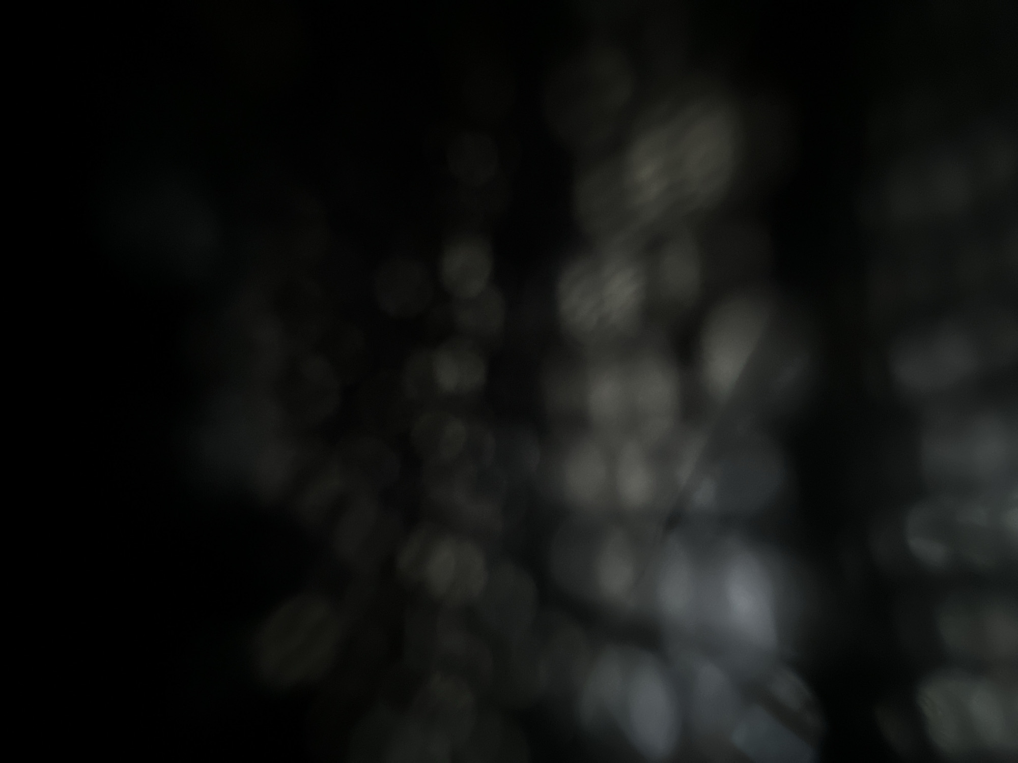 This is a dark, abstract image with blurred, out-of-focus highlights that resemble bokeh. The overall impression is one of a dimly lit, possibly nighttime scene. There are no discernible subjects, objects, or specific scenes. The highlights are circular and appear to be emanating from a light source, but their nature is unclear due to the blur. The image has a monochromatic, grayscale appearance, with shades of black, gray, and muted white. The context of Belgrade, Serbia, does not provide any specific visual cues within the image itself. There is no visible text.