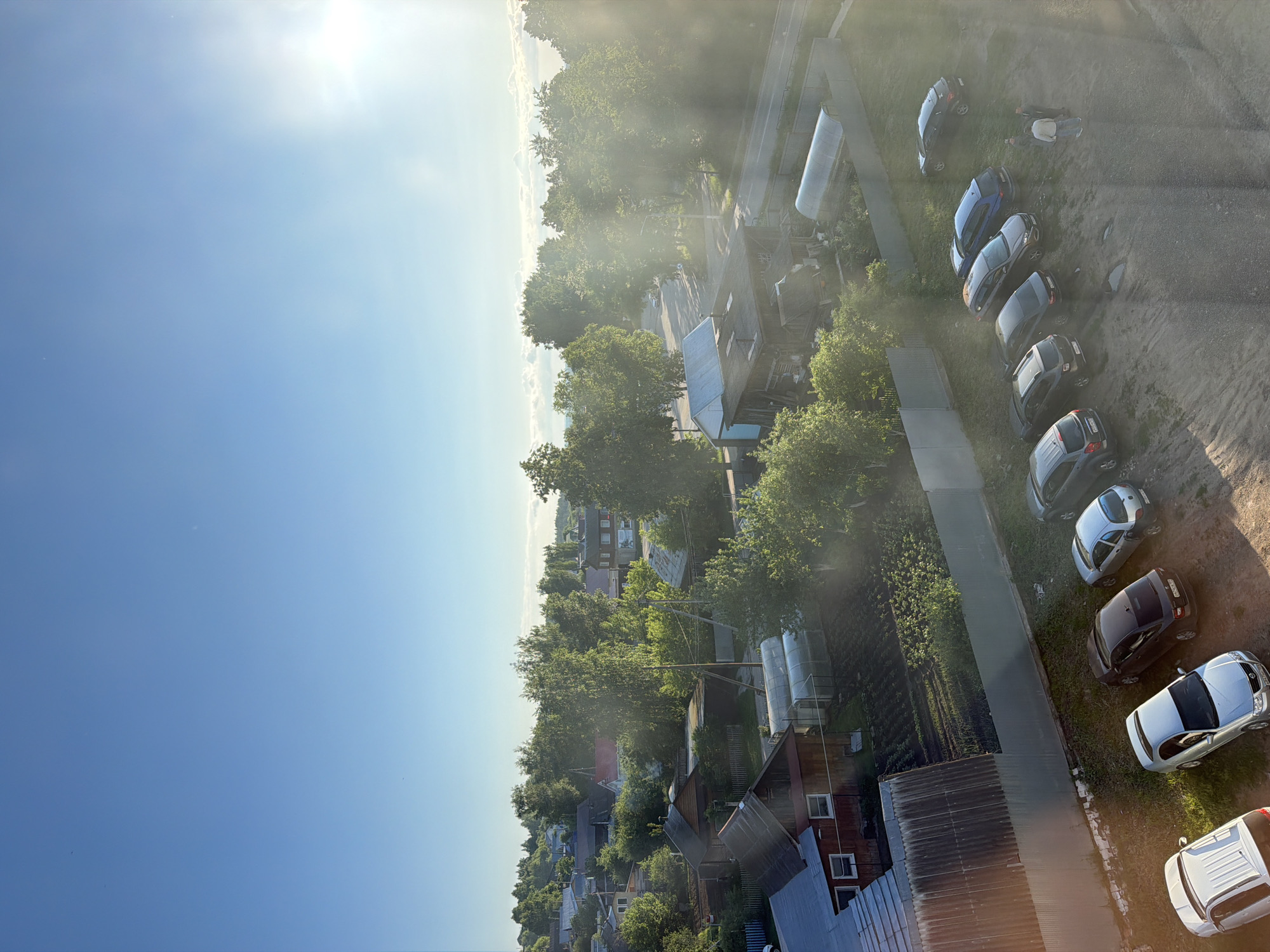 This image, taken in Chaikovsky, Russia, presents an elevated view of a semi-rural or suburban landscape under bright daytime conditions. The original image is oriented vertically, showing the horizon running down the left side and the ground extending to the right.
The scene features a mixture of natural and man-made elements. Abundant green trees with full foliage dominate the middle ground, interspersed with numerous low-rise buildings, including houses and what appear to be greenhouses or shed structures. A narrow, dark, paved road or path cuts through the greenery, roughly parallel to a dirt or gravel track.
On the right side of the frame, along the dirt track, a row of at least eight to nine cars of various makes and colors (blue, silver, black, white) are parked. Near the upper-right portion of this line of parked vehicles, two individuals are visible. One person is standing, wearing a light-colored top and dark trousers, while another individual is lying on the ground nearby, partially obscured and dressed in dark clothing. Their specific activity is unclear from this perspective.
The weather appears sunny, with a clear blue sky transitioning to a lighter hue near the horizon. Strong sunlight emanates from the upper-left (when viewing the image in its original vertical orientation), creating significant lens flare and illuminating dust or haze in the air, resulting in visible light rays and a somewhat misty atmosphere in parts of the image. The low angle of the sun suggests either morning or late afternoon. No visible text is present in the image.