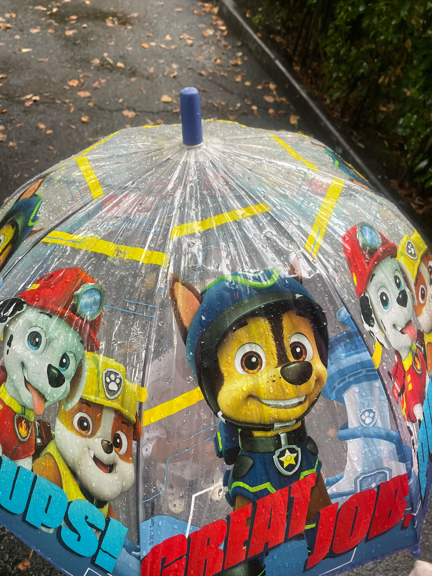 This is a close-up, eye-level outdoor shot of a clear, transparent umbrella featuring Paw Patrol characters. The umbrella is open and appears wet, with numerous water droplets visible on its surface, indicating it is raining. The characters depicted are Chase (a German Shepherd in a blue police uniform), Marshall (a Dalmatian in a red firefighter uniform), and Rubble (a Bulldog in a yellow construction outfit). The umbrella has yellow and blue accents and text that reads "GREAT JOB!" and "WOOF!" in blue and red lettering respectively. The background shows a wet asphalt surface with fallen brown leaves, suggesting an autumn setting. To the right, dark green foliage is visible. The scene is likely taking place on a street or sidewalk, possibly in a park or residential area. The location is identified as Sochi, Russia.