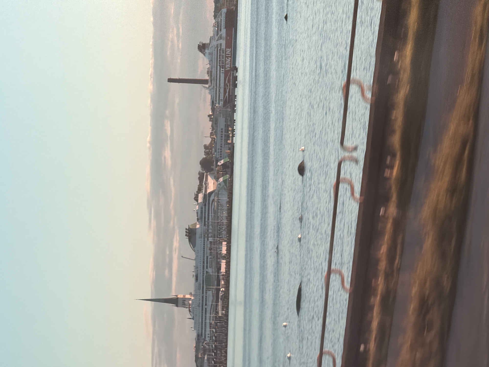 The image depicts a harbor scene in Tallinn, Estonia, with several ferries docked at the port. In the background, a prominent church spire with a pointed roof is visible on the left, characteristic of Tallinn's Old Town. A large ferry with the "VIKING LINE" logo is prominently featured on the right, suggesting it's a passenger ferry operating on Baltic Sea routes. The water is calm with several buoys or markers scattered across its surface, and a few birds are visible on the water. The sky above is a gradient of pale blue and soft pink hues, indicating either sunrise or sunset. The foreground shows a glimpse of a grassy embankment and a guardrail, suggesting the photograph was taken from a roadside or elevated viewpoint overlooking the harbor. The overall atmosphere is serene and captures a typical day at this active port city.