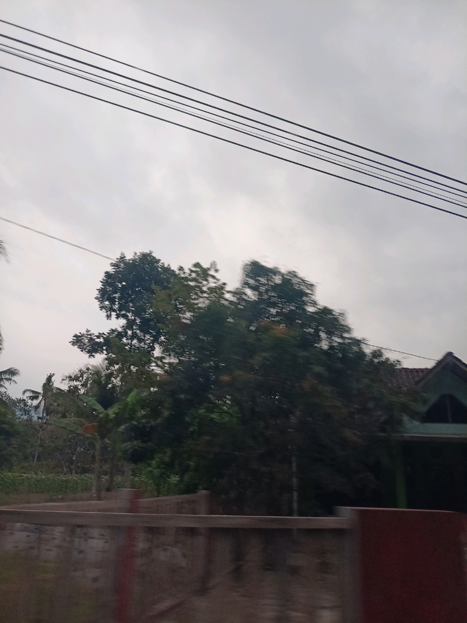 The image depicts an overcast sky with several power lines running horizontally across the top portion. In the middle ground, a dense cluster of trees and vegetation dominates the scene, with some blurred motion suggesting movement. A portion of a building with a dark roof is visible on the right side of the image, partially obscured by the trees. In the foreground, a blurred concrete barrier or wall runs horizontally across the bottom, with some indistinct shapes behind it. The scene appears to be an outdoor environment, possibly a roadside view, in a semi-rural or suburban area, consistent with a location in Gandusari, Indonesia. There are no people visible in the image.