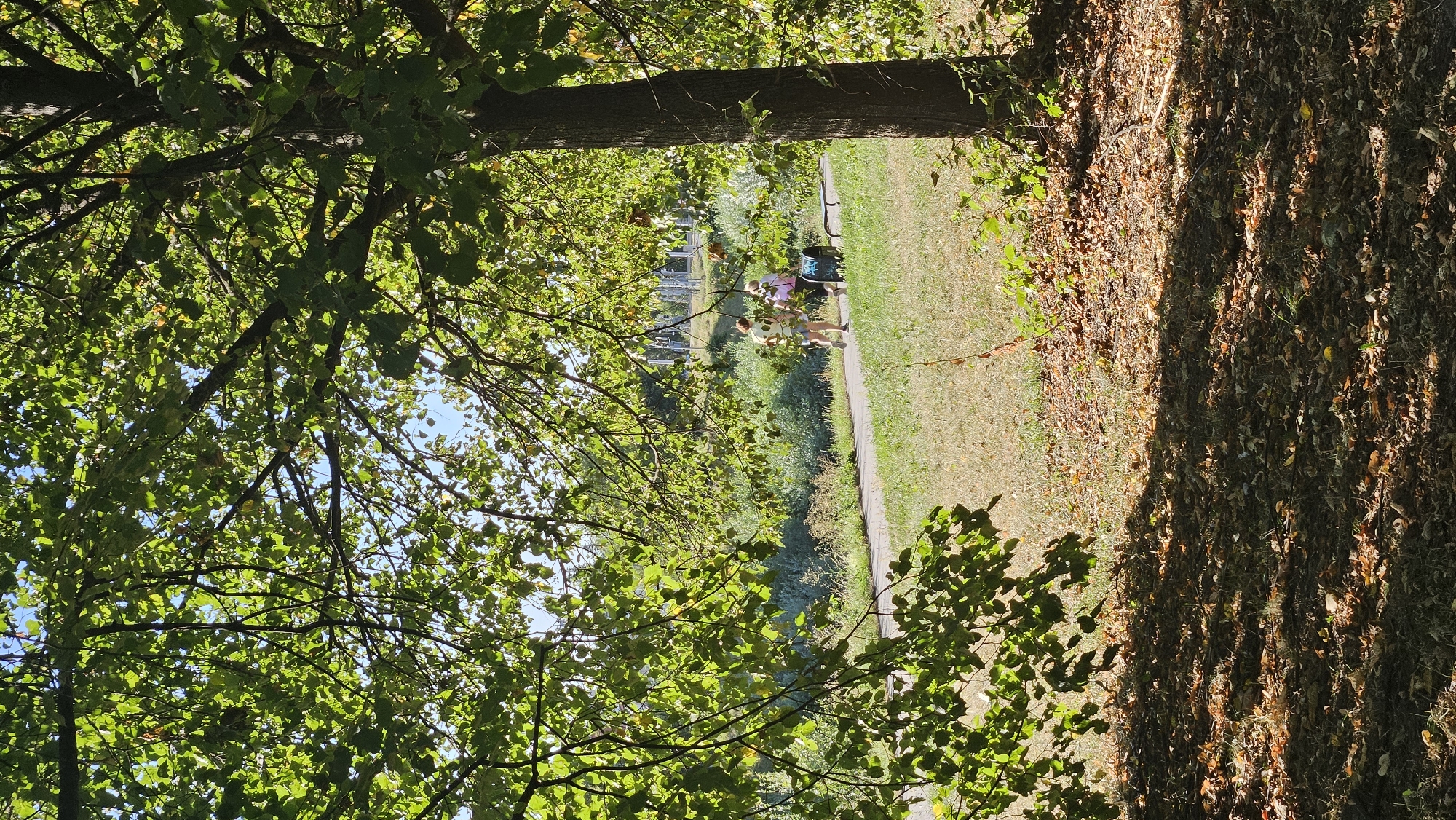 The image depicts a sun-dappled park scene, likely in the city of Prešov, Slovakia, on a clear day. In the foreground, lush green tree branches with leaves partially obscure the view. To the right, a tree trunk stands tall. A paved pathway runs through the park, bordered by dry, autumnal grass. On the pathway, two individuals are walking away from the camera, one in a light-colored t-shirt and shorts, and the other in a pink top and possibly shorts. A bench with a dark-colored trash receptacle is situated near them. Beyond the pathway, dense green vegetation and trees form a backdrop, with hints of distant structures or landscaping. The ground is covered in a mix of dry grass and fallen leaves, indicating a transition towards autumn. The sunlight creates strong shadows and highlights, suggesting it is midday or early afternoon.
