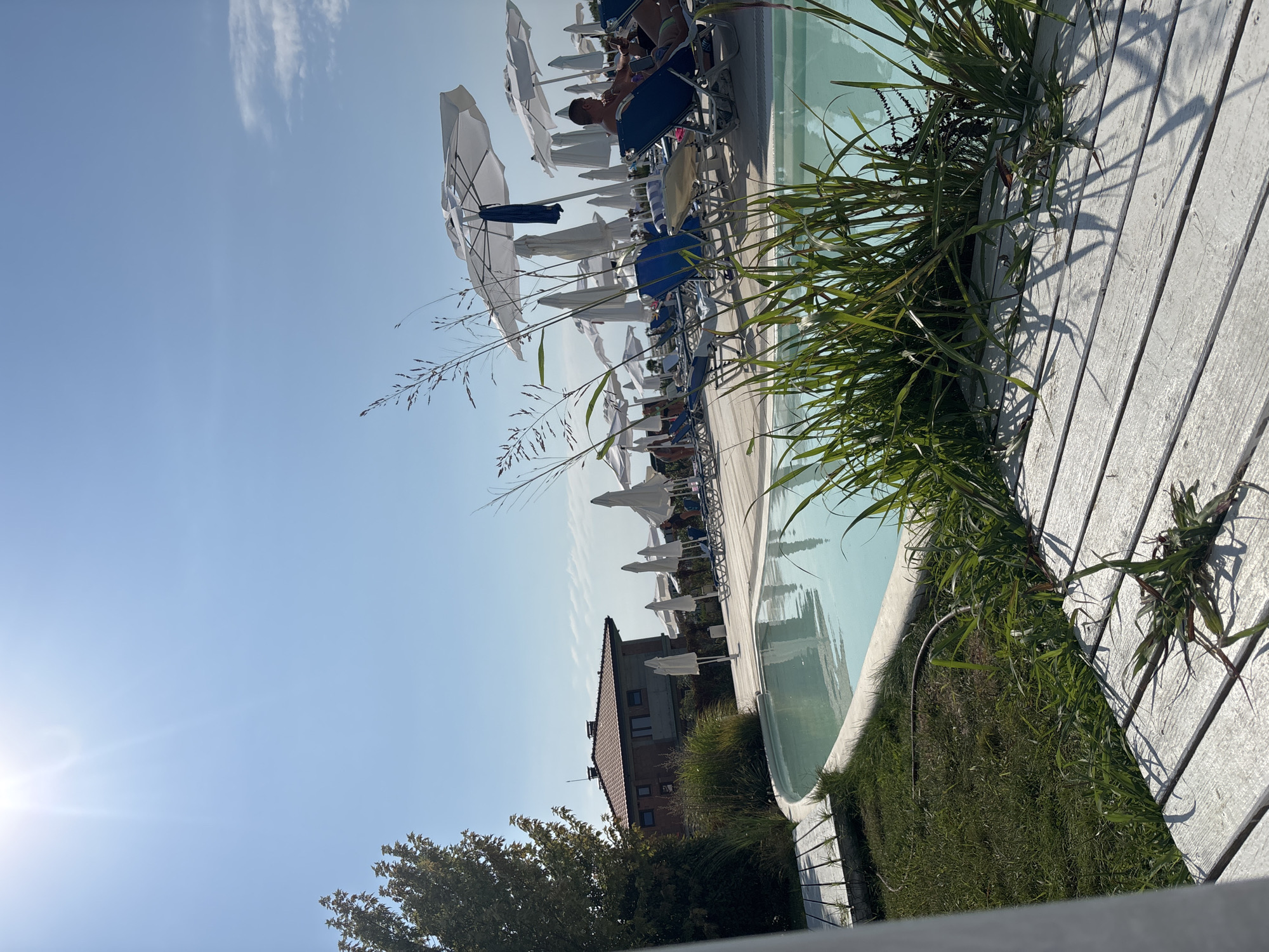 A bright, sunny day at a resort in Byala, Bulgaria, is captured from a low angle, looking across a swimming pool towards a row of lounge chairs and umbrellas. The pool, filled with clear, turquoise water, has a light reflection of the sky and the surrounding greenery. White wooden decking lines the edge of the pool, with patches of green grass and tall, wild grasses growing in between. In the background, a building with a red-tiled roof and beige walls is visible, along with numerous white beach umbrellas providing shade for several lounge chairs. A few people are scattered among the chairs, one of whom is seated and looking at their phone. The sky is a clear, bright blue with a few wispy clouds and the sun shining intensely, creating a lens flare in the upper left corner.