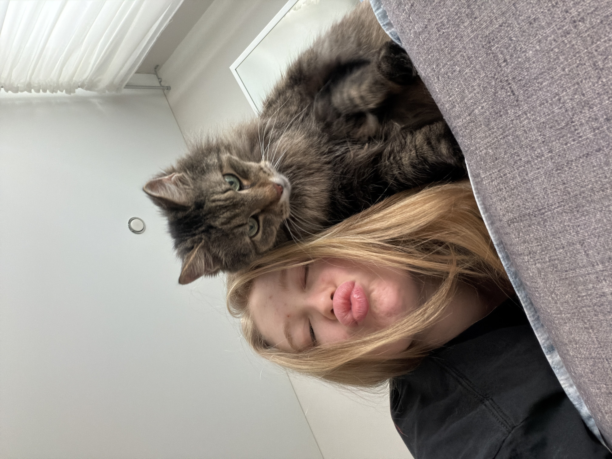 A young fair-skinned woman with long blonde hair is lying down, head tilted back, eyes closed, and puckered lips, with a large tabby cat perched on her forehead. The cat is gray and brown with green eyes. Part of a gray upholstered object, possibly a couch or headboard, is visible on the right. The background is a white wall with a curtain. The location is unknown.