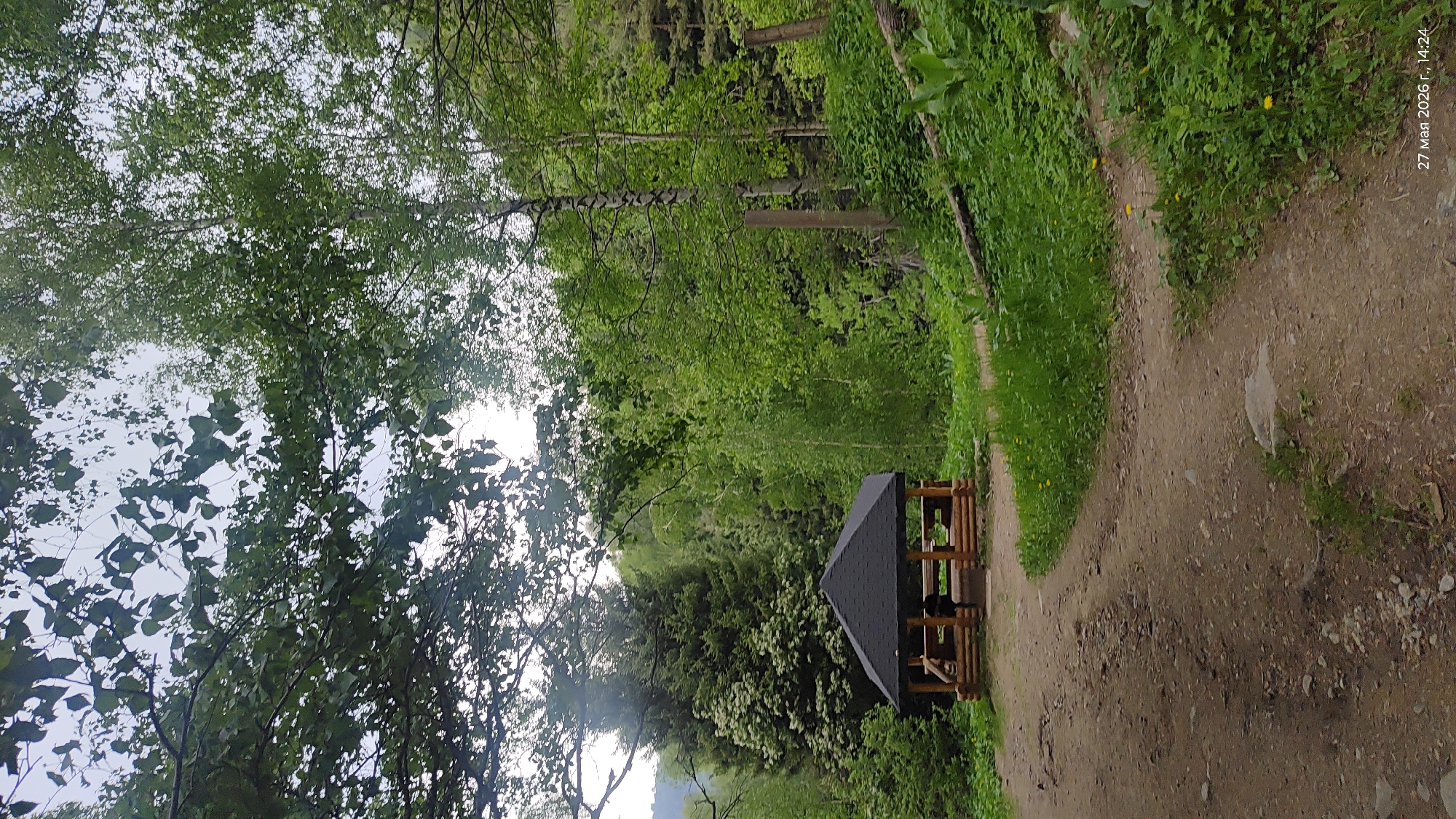 The image shows a forest path in Almaty, Kazakhstan. The path, made of dirt and small stones, curves slightly to the right. Lush green vegetation lines both sides of the path, with trees filling the background. To the left of the path, there is a wooden gazebo with a black roof. The sky is overcast, and the date "27 мая 2026 г., 14:24" is visible in the top right corner. There are no people visible in the image.