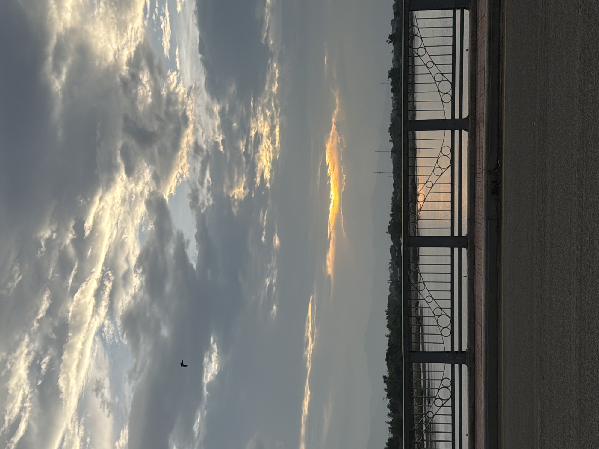 The image, viewed in landscape orientation, depicts a serene sunrise or sunset scene over a body of water, likely a river or bay, viewed from a promenade or bridge.
The upper portion of the frame is dominated by a dramatic sky filled with scattered clouds. These clouds are illuminated by the low-lying sun, creating striking patterns of bright white and golden light against a background of soft grey and pale blue. The sun itself is visible as an intense horizontal streak of golden-orange light peeking through a gap in the clouds on the right side of the sky. A small, dark silhouette of a bird is captured in flight against the brighter clouds in the upper left.
In the foreground, a dark metal railing, featuring decorative circular and wave-like patterns, stretches horizontally across the lower part of the image, separating the viewer's perspective from the water. To the immediate right of the railing is a paved surface, likely an asphalt road or walkway, with a yellow line running along its edge. A narrow, reddish-brown curb or sidewalk runs directly alongside the railing.
Beyond the railing, a calm expanse of water reflects the soft, subdued light from the sky, with shimmering golden hues visible where the sun's light touches the surface. In the distance, a faint, dark line of land, possibly a distant shoreline or riverbank, is visible, sparsely covered with trees and subtle indications of structures. The overall mood of the image is tranquil and contemplative.
There is no visible text in the media file. Given the location context of Phan Rang Ward, Vietnam, this scene likely captures a coastal or riverside view, characteristic of the region.