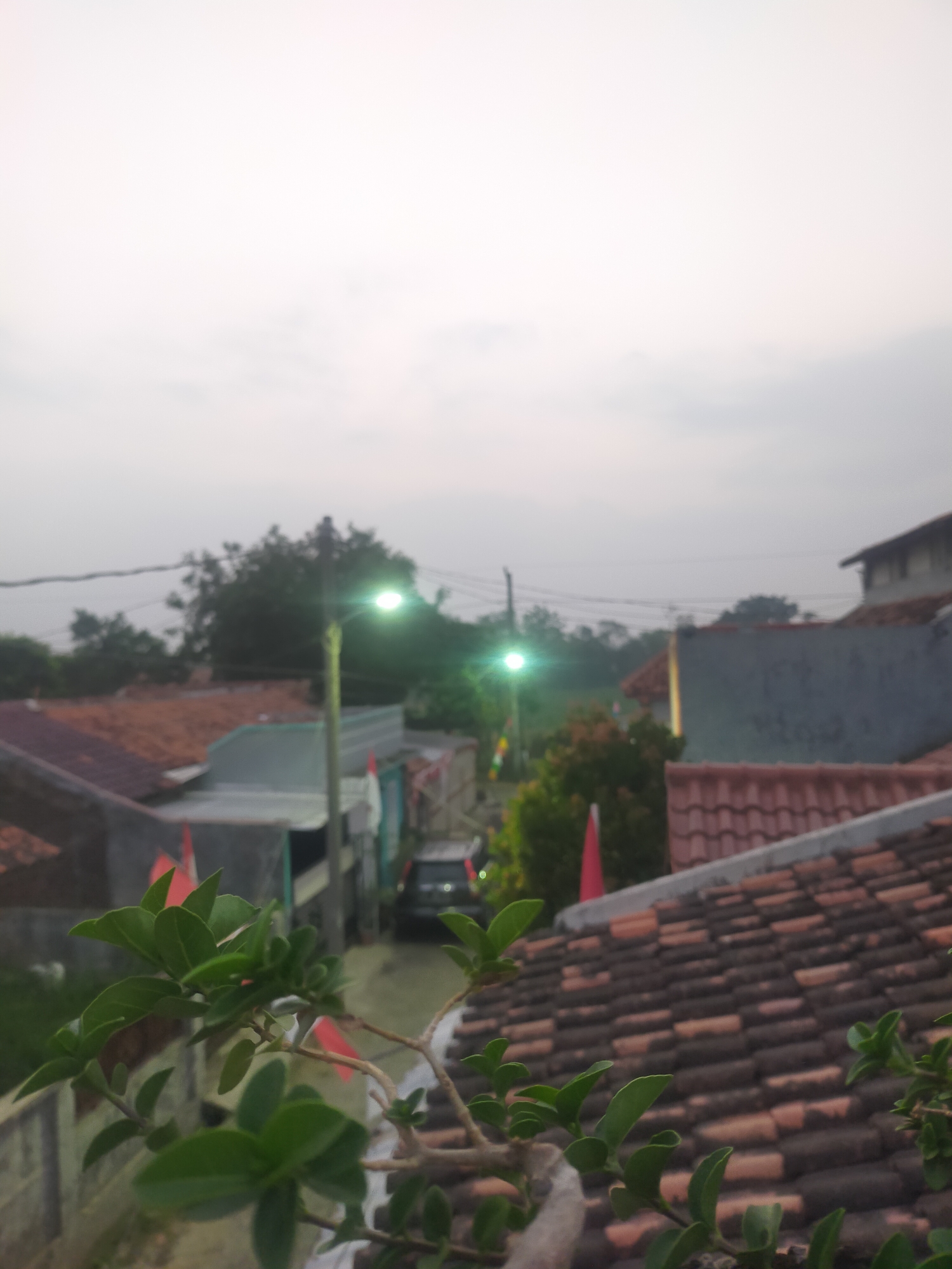 The image captures an outdoor scene in what appears to be a residential area in Tegalandong, Indonesia, likely during dusk or dawn given the soft lighting. In the foreground, the lush green leaves of a plant are in sharp focus, with its branches extending into the frame. Behind the plant, a narrow street or alleyway is visible, lined with houses with terracotta tiled roofs. Two streetlights with a greenish glow illuminate parts of the street. A dark-colored car is parked on the street, and several small red and white flags are displayed on some of the buildings, suggesting a possible celebration or national event. The sky is overcast and light gray. The overall impression is of a quiet, domestic setting.