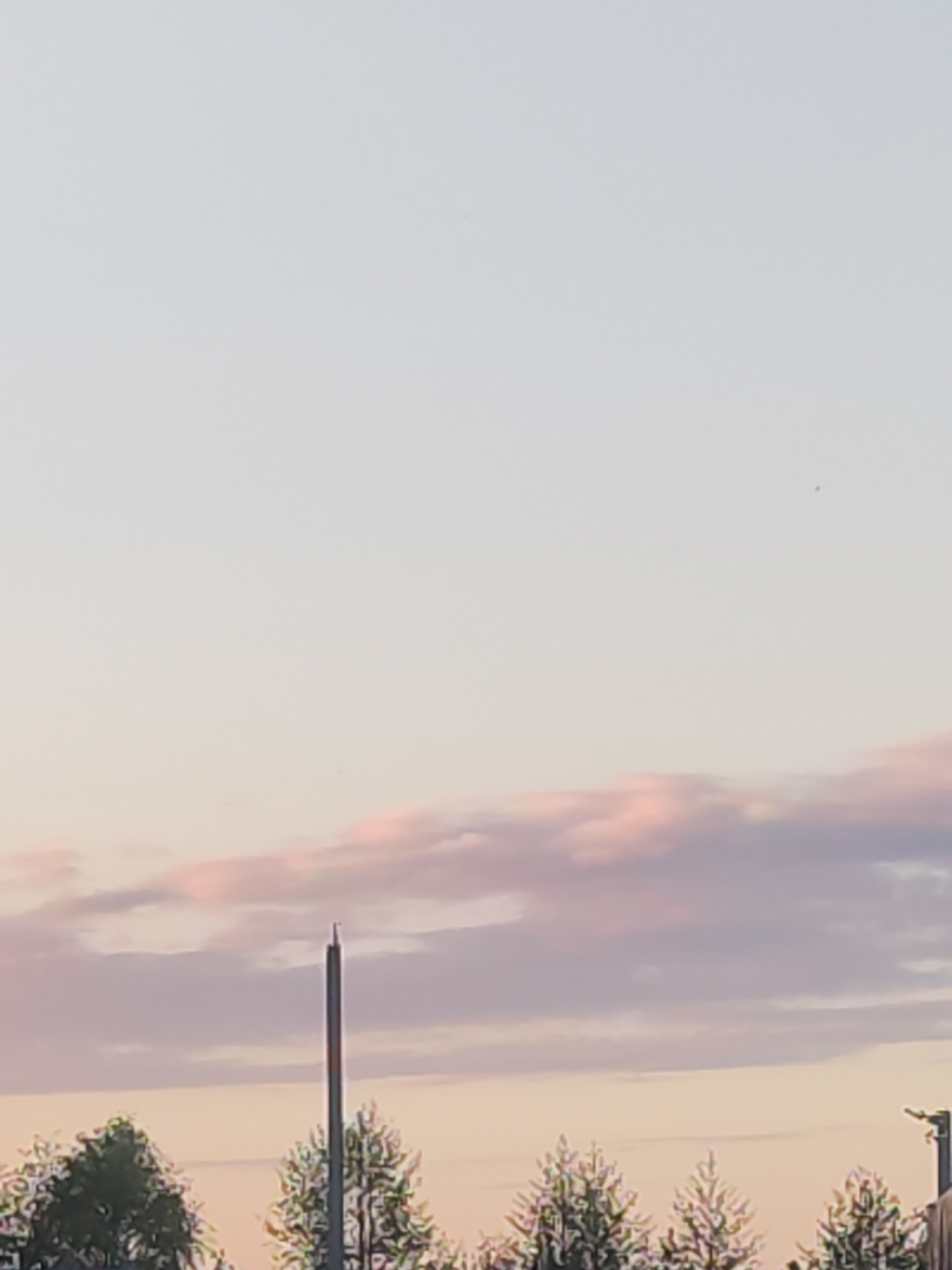 The image shows a sky at dusk or dawn with light pink and purple clouds. Trees and a tall pole are visible in the foreground. The location is Chaikovsky, Russia.