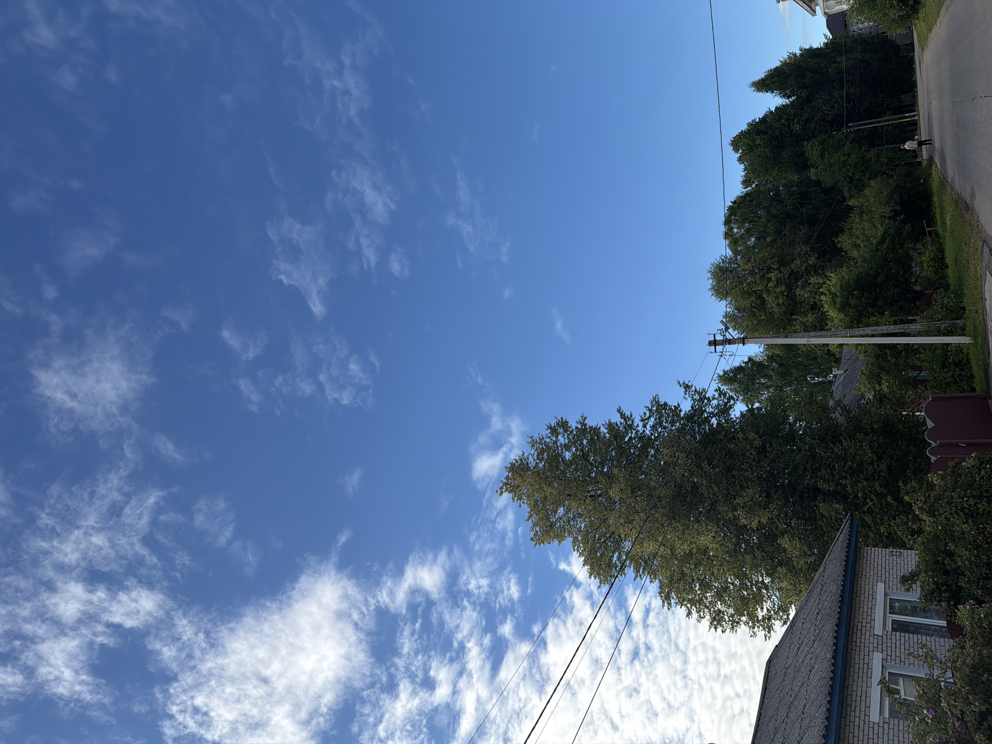 The media file captures a scene with a bright blue sky filled with scattered white clouds. The perspective is tilted, making it appear as though the viewer is looking upwards. On the right side of the frame, a paved road runs alongside a grassy area. Beyond the road, a line of dense green trees dominates the mid-ground, with some buildings and a dark red fence partially visible between them. A single utility pole with wires stretches across the sky. In the foreground, the angled roof of a light-colored brick house is visible. The lighting suggests it is daytime, likely late morning or afternoon, with the sun casting a clear light on the scene. No people or specific activities are clearly depicted, but the overall impression is that of a rural or suburban setting in Russia, possibly Moshenskoe, given the location context. The weather appears to be clear and pleasant. There is no visible text in the image.
