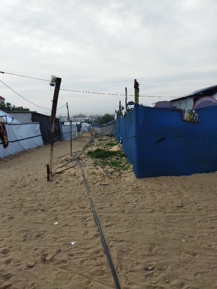 This image depicts a temporary settlement within the city of Khan Yunis, Palestinian Territory, characterized by makeshift structures along a sandy path under an overcast sky.
The foreground and midground are dominated by a light brown, sandy pathway, approximately 3-4 meters wide, showing numerous footprints and scattered small debris, including pieces of white paper. A thick, dark electrical cable or hose runs centrally along the ground from the foreground into the midground, with other thinner cables branching off to the sides.
To the left of the path, a series of makeshift shelters are constructed from various materials, primarily light grey and dark tarpaulins or fabrics stretched over frames of wooden poles and possibly metal supports. A brown blanket is draped over one of these structures in the immediate left foreground. Multiple wooden poles, some weathered, are erected along this side, supporting overhead wires. One prominent pole in the left midground has a white, rectangular utility box attached near its top, with additional wires extending from it.
To the right of the path, another series of shelters feature a prominent, large structure covered in a vibrant blue tarp or heavy fabric, appearing to be a wall or side of a dwelling. This blue material shows signs of patching or stitching. Two small, dome-shaped tents, one light purple/grey and another light pink/grey, are visible atop or behind this blue structure, suggesting additional temporary accommodation. A patterned blanket or piece of fabric is draped over the blue structure. Similar wooden poles and overhead wiring are also present on this side. A small patch of green vegetation is visible between the path and the structures on the right.
In the distant background, beyond the encampment, the outlines of urban buildings and structures of Khan Yunis are discernible under the hazy, overcast sky, indicating the settlement's proximity to a developed area. No individuals are clearly visible or identifiable within the scene. The overall environment suggests a temporary or emergency housing situation.