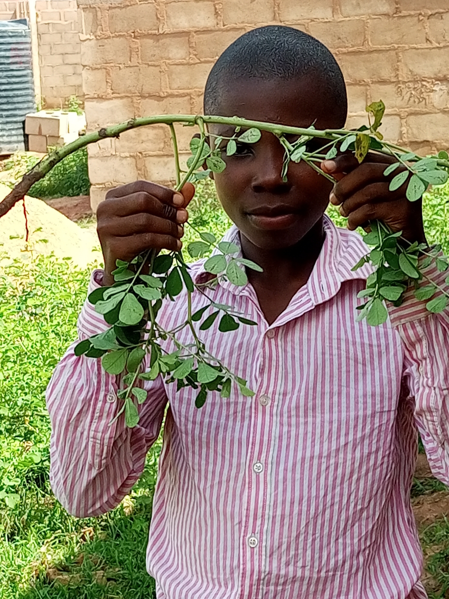 A young boy in Tempure, Nigeria, holds a branch with green leaves in front of his face, obscuring his eyes and nose. He is wearing a pink and white striped button-down shirt. The background consists of a brick wall and lush green vegetation. The image appears to be taken outdoors during the daytime.