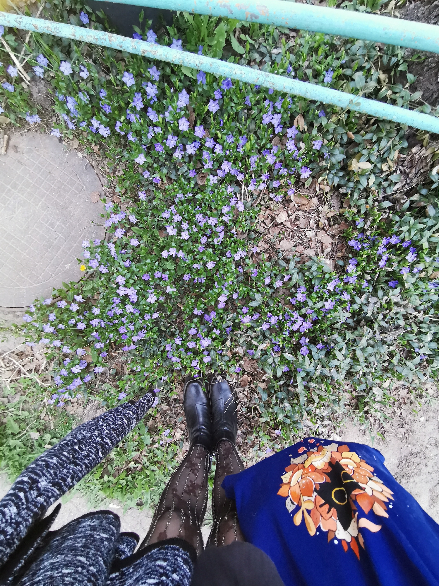 A high-angle shot depicts a person standing in a garden area in the city of Unknown, Unknown. The person wears black boots, patterned dark tights, and a long dress, whose dominant color is blue, that has a circular floral design near the right hem. A black and white coat, appearing to be a tweed or similar pattern, hangs on the left side of the frame. The person is positioned amid a dense groundcover of flowering plants bearing small purple blossoms. A short section of faded, blue painted metal tubing lies on the ground among the plants near the top of the shot. To the left, a circular concrete manhole cover is partially visible. The background soil and sparse vegetation suggest an urban or park setting.