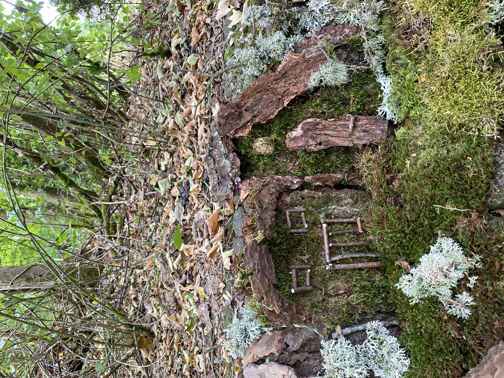 The image depicts a miniature fairy house crafted from natural materials found in a forest environment. The house is built on a moss-covered surface, with bark and twigs forming its structure. The facade features small twig window frames and a door made of bark. Various types of moss and lichen, some appearing pale blue-green, adorn the house and the surrounding area, giving it an organic, camouflaged appearance. The background shows a dense forest floor covered with fallen leaves and branches, with trees and undergrowth visible. The overall scene is one of whimsical nature art, likely a temporary installation in a wooded area. There are no people or animals visible in the image. The location is stated as Altenkirchen, Germany, suggesting this is an outdoor setting within that region.