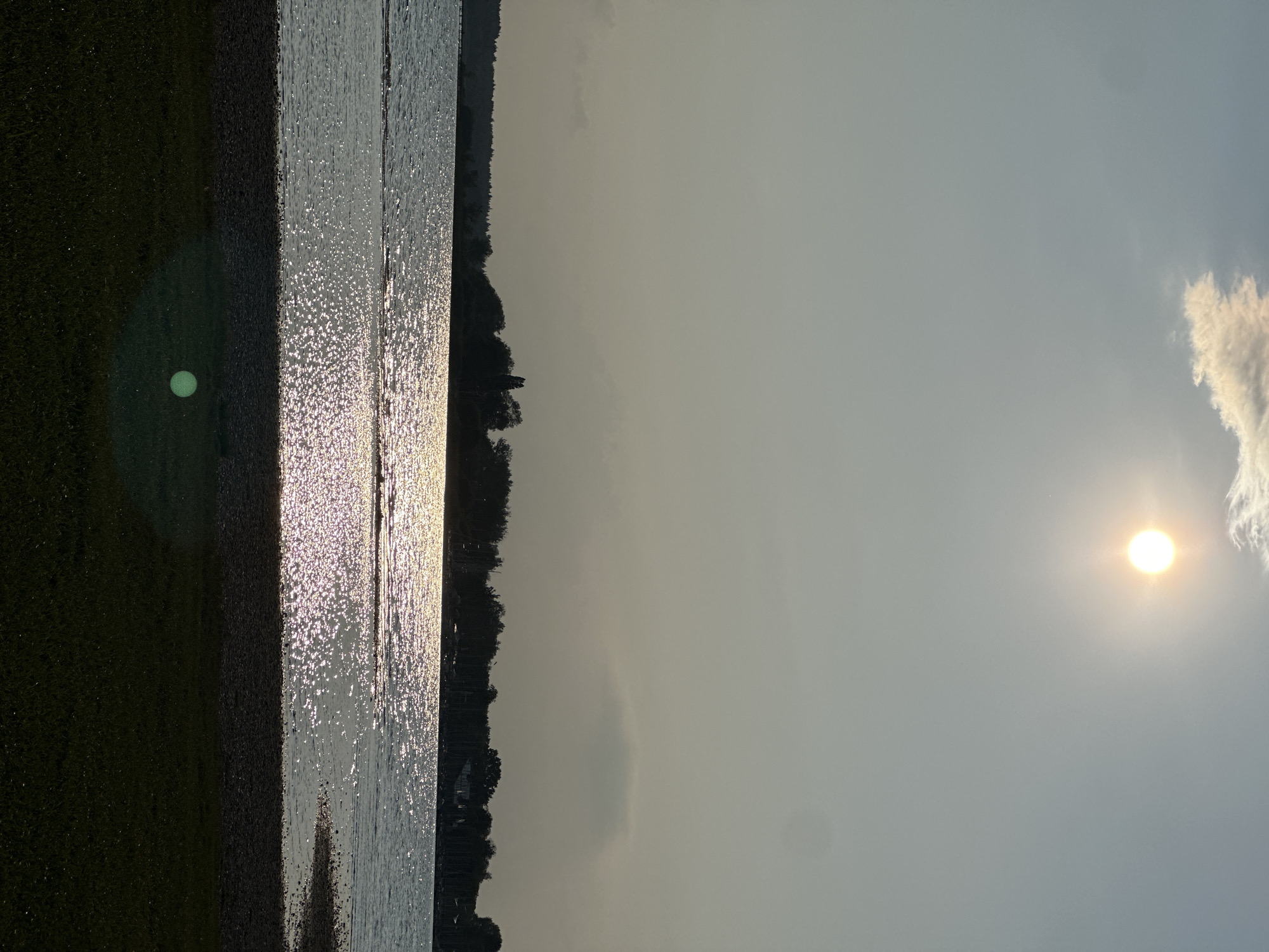 This is a vertical, eye-level shot of a serene lakeside scene in Chieming, Germany, taken in the late afternoon or early evening. The sun, positioned high in the sky, casts a bright, warm glow, creating a shimmering reflection on the water's surface. A solitary cloud drifts near the sun, tinged with a pale yellow hue.
The foreground features a patch of dark green grass, with a gravelly shore bordering the lake. The water itself is calm, with gentle ripples reflecting the sunlight. Across the lake, a dense line of trees forms a dark silhouette against the horizon, with a few structures, possibly buildings or boats, visible amidst the foliage on the right side. The overall atmosphere is peaceful and tranquil, highlighting the natural beauty of the Chieming area. There are no people or animals present in the frame.