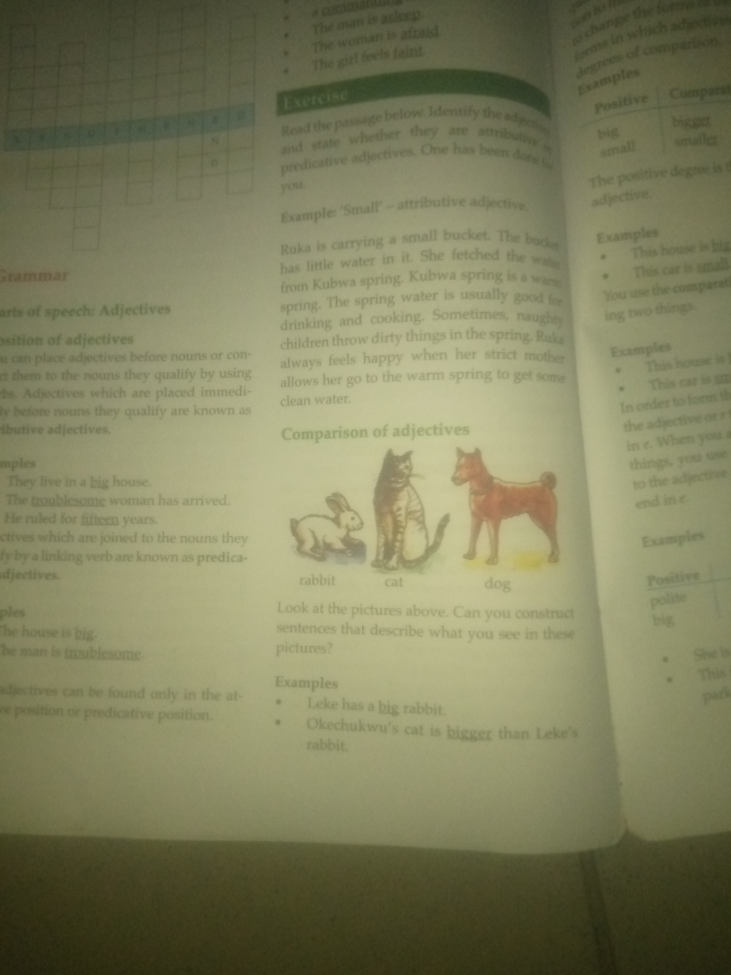 The image shows an open book with text and illustrations. The content appears to be related to grammar, specifically on the topic of adjectives.
On the left side of the open book, there are sections titled "Grammar", "Parts of speech: Adjectives", and "Position of adjectives". Below these headings, there are explanations and examples of adjectives.
On the right side, there is a section titled "Exercise" with instructions to identify adjectives in a passage. Below this are examples of positive and comparative adjectives like "big/bigger" and "small/smaller", presented in a table. Further down, there are illustrations of a rabbit, a cat, and a dog, with labels below them. There are also example sentences comparing the sizes of the animals.
The image is a close-up shot, and the lighting suggests it was taken indoors. There is no indication or information within the visible portion of the image that relates to Jauro Yinu, Nigeria.
