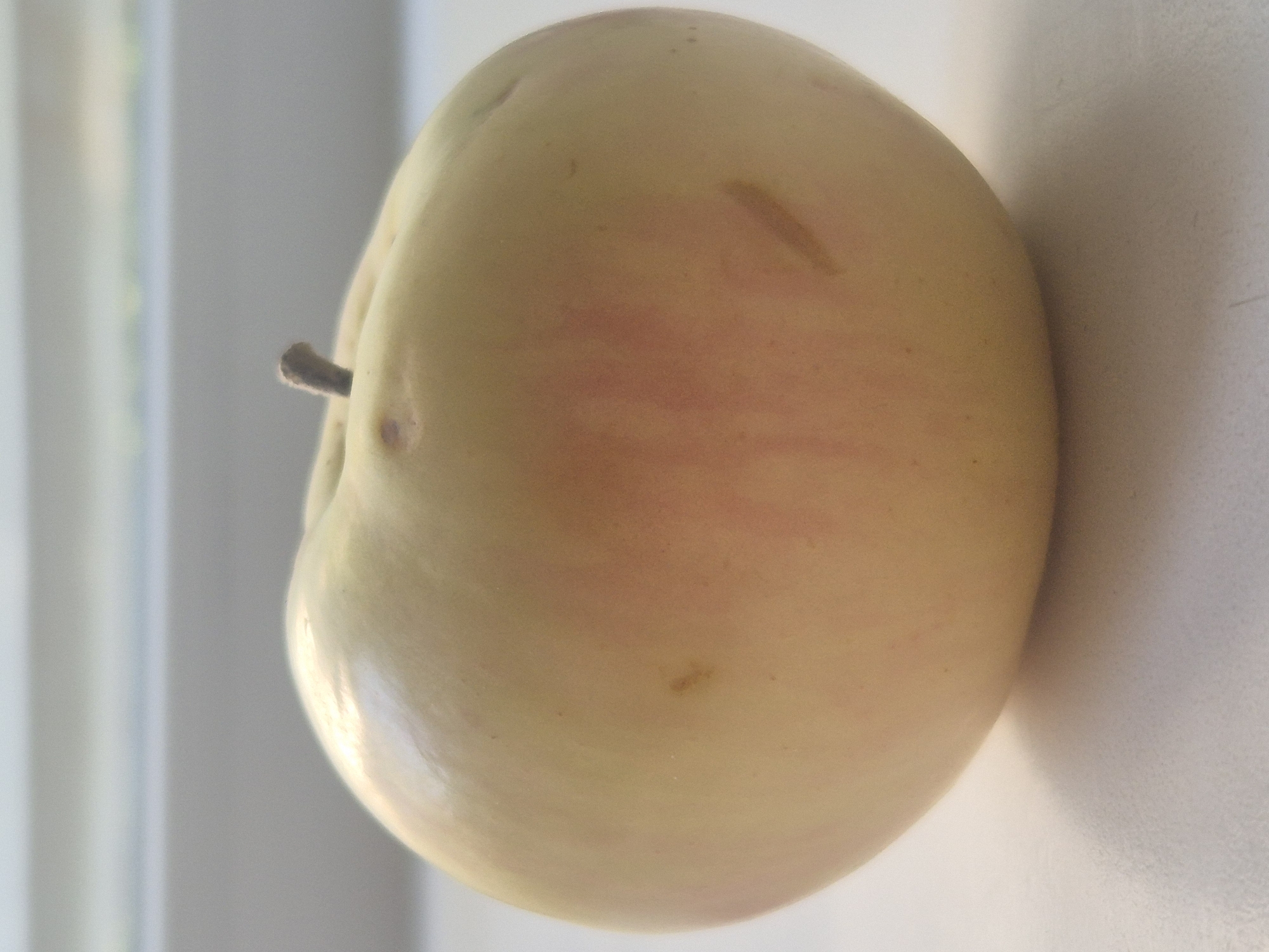 A single, ripe apple is photographed in close-up, resting on a white surface. The apple is predominantly yellow with areas of blush pink. It has a small, dark brown stem protruding from its top. There are a few minor brown blemishes or imperfections on the apple's skin. The background is out of focus, showing horizontal lines that suggest a windowsill or shelf. The lighting appears to be natural daylight, casting a soft shadow from the apple onto the surface below. The overall impression is of a simple, still-life composition. This image was taken in Kokshetau, Kazakhstan.