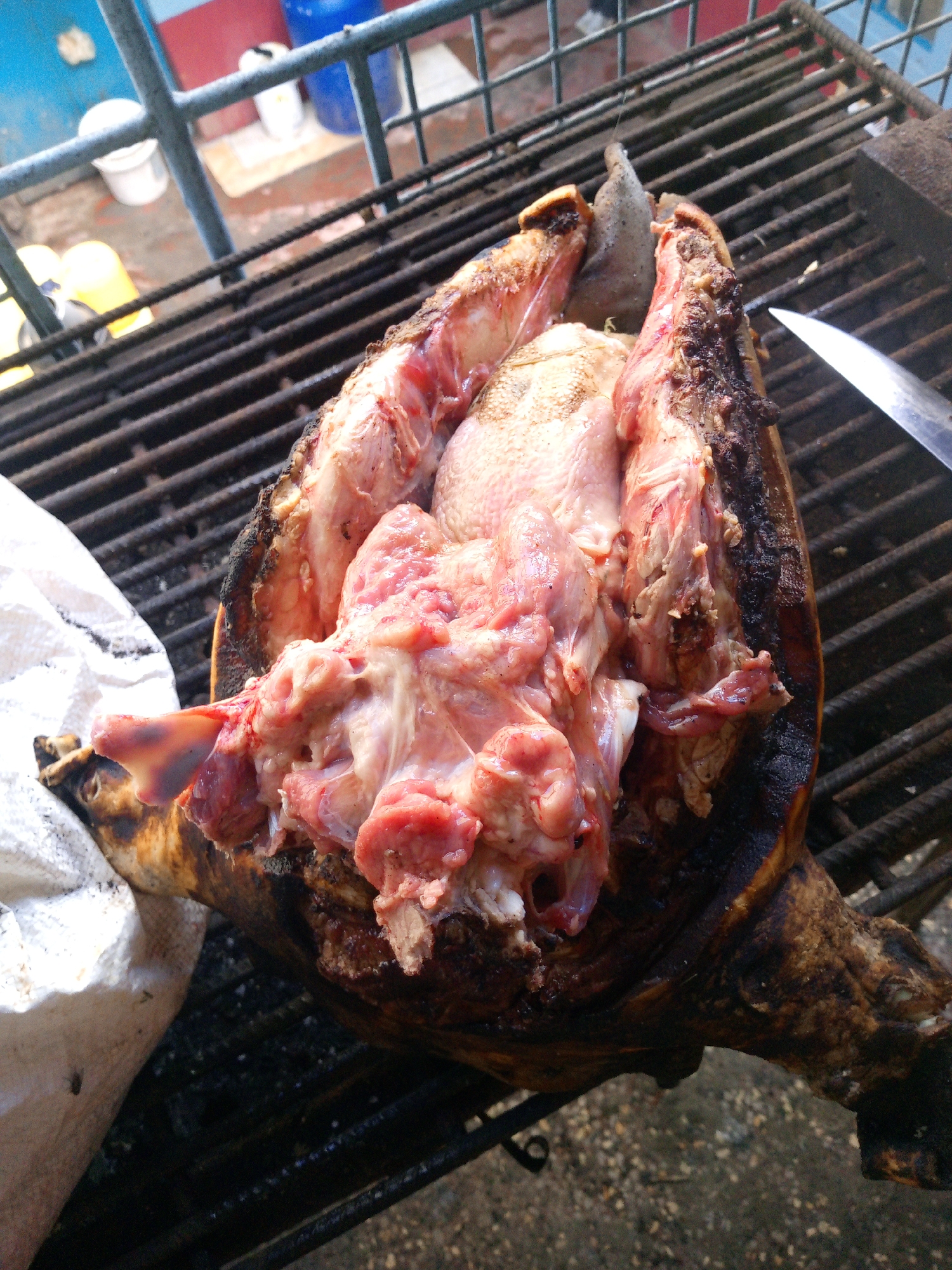 On a metal grill, a butchered turtle is displayed, its shell charred and cracked open to reveal the raw meat inside. To the left, a white bag rests alongside the grill. In the background, glimpses of buildings and containers suggest an urban environment. A partially visible knife lies to the right. The image seems to have been taken outdoors, possibly in a market or cooking area.