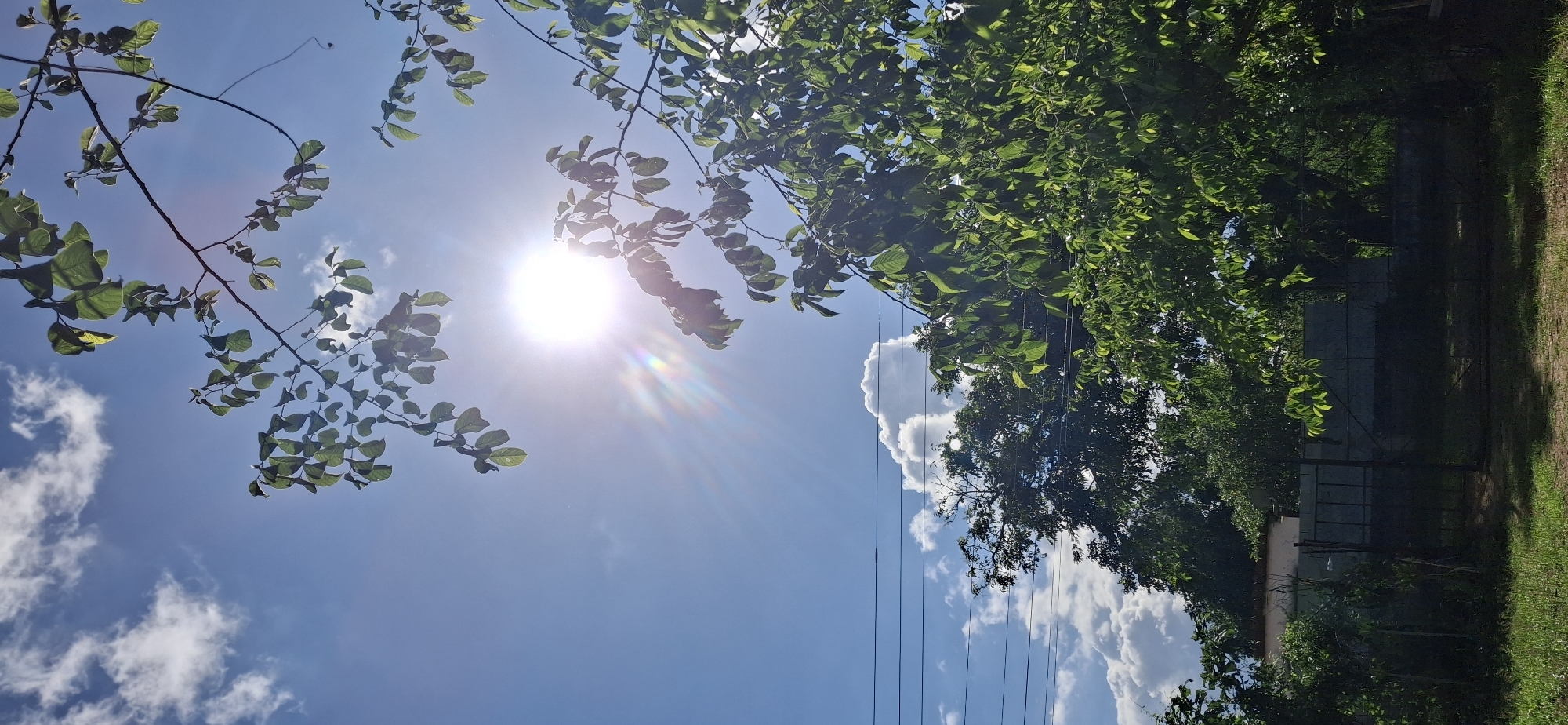 The image depicts a bright, sunny day in Vallecito, Venezuela, with the sun prominently shining through lush green tree branches in the foreground. The sky is a clear blue, dotted with fluffy white clouds. In the middle ground, power lines stretch horizontally across the frame, with a large, dense green tree visible below them. Further back, a fence with a gate encloses an area with more greenery. The overall scene conveys a sense of natural beauty and tranquility.