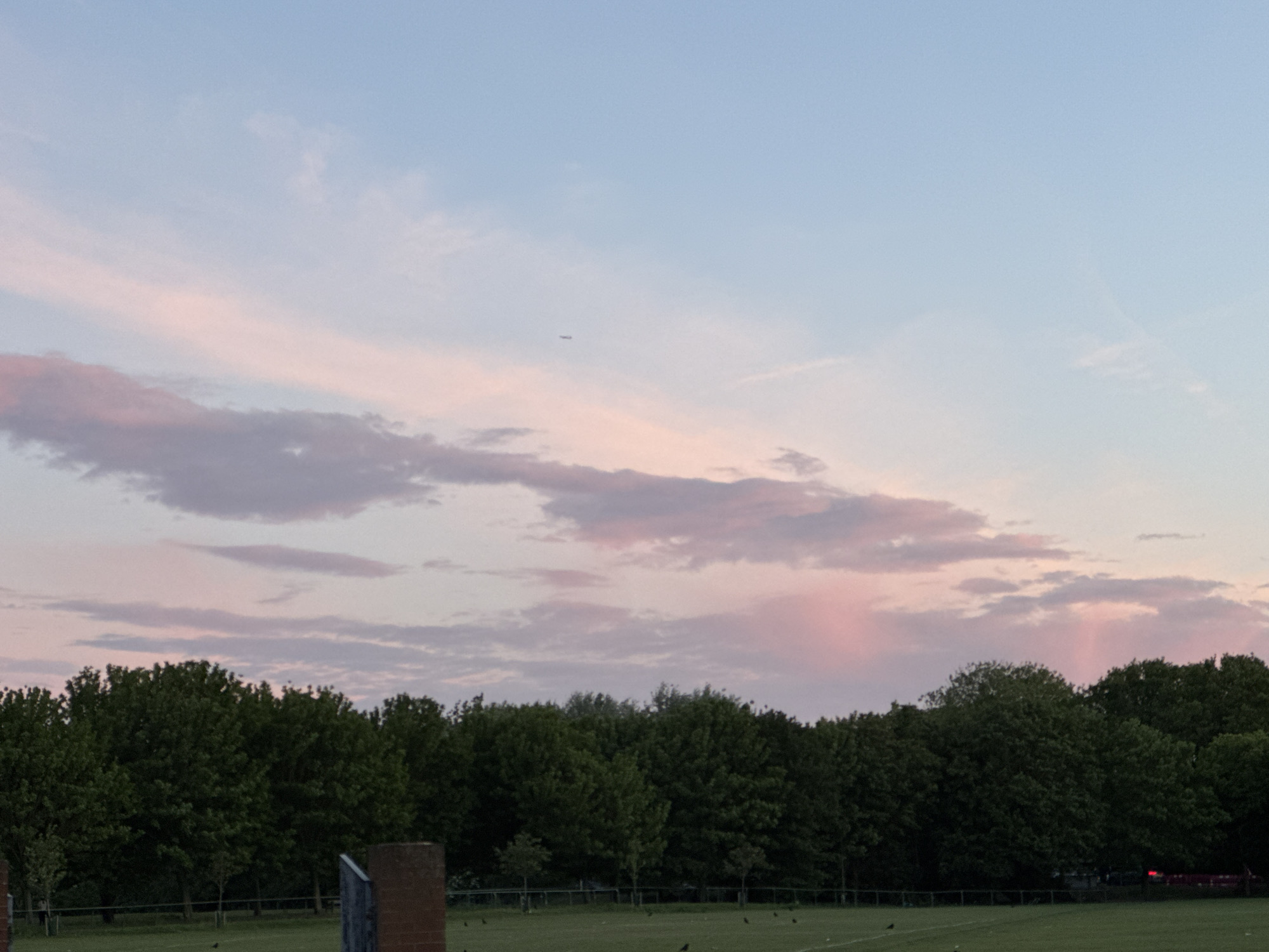 The image captures a sky with pink and grey clouds during what appears to be dusk or dawn. Below the sky, there is a row of dense green trees. In the foreground, there is a grassy field with some indistinct objects. There is an airplane in the sky. The location is likely a park or green space in London, United Kingdom.