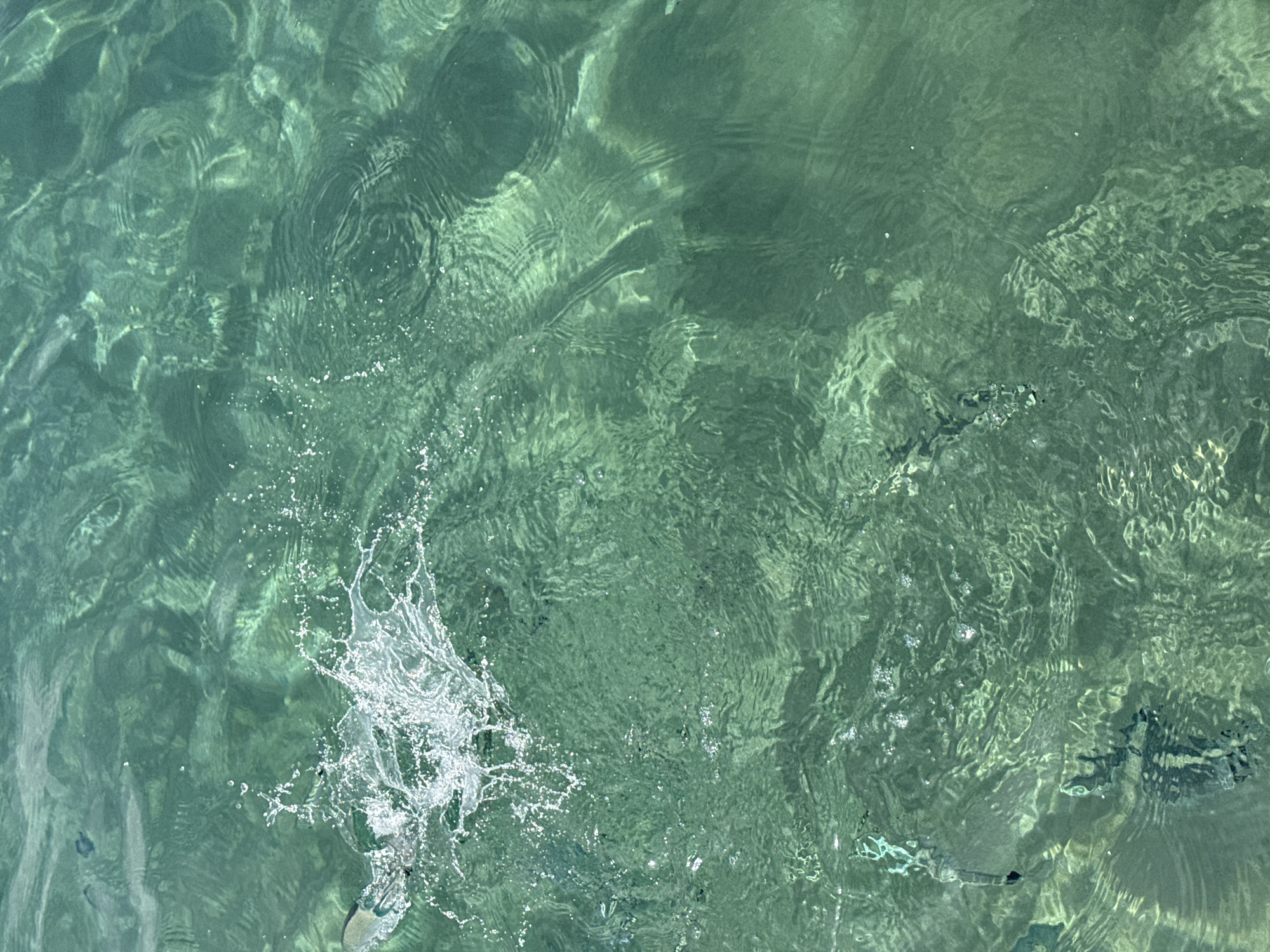 The image shows a close-up, overhead view of clear, green water. A fish is visible splashing as it breaches the surface on the left side of the frame, creating a spray of water. Several other fish are visible swimming beneath the surface in various parts of the image. The water appears to be in a natural body, possibly the sea, with sunlight filtering through and creating ripples and patterns on the seabed. The setting is not identifiable as being within the city of Águilas, Spain.