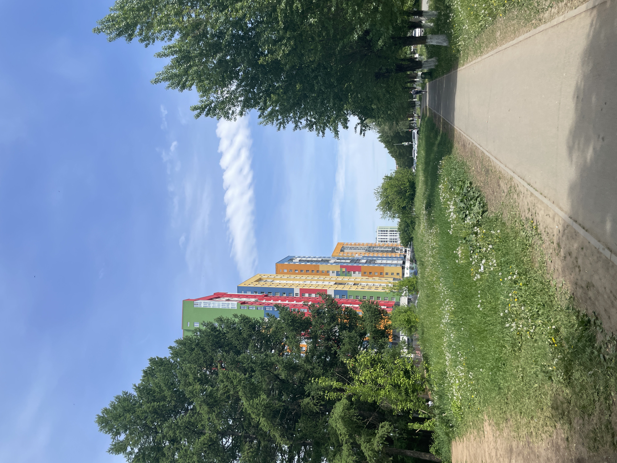 The image shows a view of a colorful residential complex in Izhevsk, Russia. The buildings are characterized by their vibrant exterior paint, incorporating green, red, yellow, and orange colors. The complex is situated along a pedestrian walkway or path, lined with trees on either side, which frame the view of the buildings. The sky is blue with some wispy clouds. The environment includes a grassy area with some wildflowers and a paved pathway, suggesting a park or residential area. There are no visible people in the foreground, but there are parked cars in the background and faint figures walking, suggesting a pedestrian area.