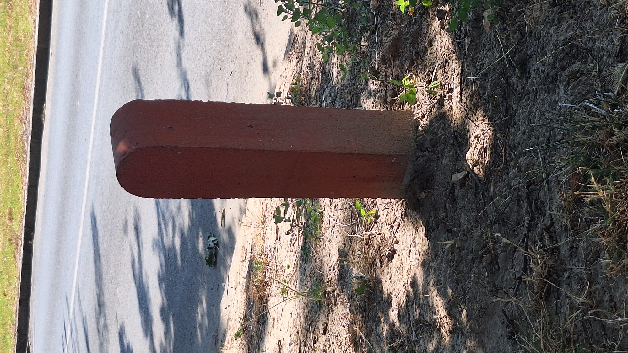 A reddish-brown, weathered concrete post with a rounded top stands vertically in dry, sandy soil next to a paved road. The post is approximately waist-high. The road has a white line painted down its center. The ground around the post is covered in dry grass, weeds, and small, green plants. Shadows from overhead foliage are cast across the road and the ground. The scene appears to be on the side of a road in a semi-urban or rural area. This object is likely a boundary marker or a traffic bollard. The location is the city of Sombor, Serbia.