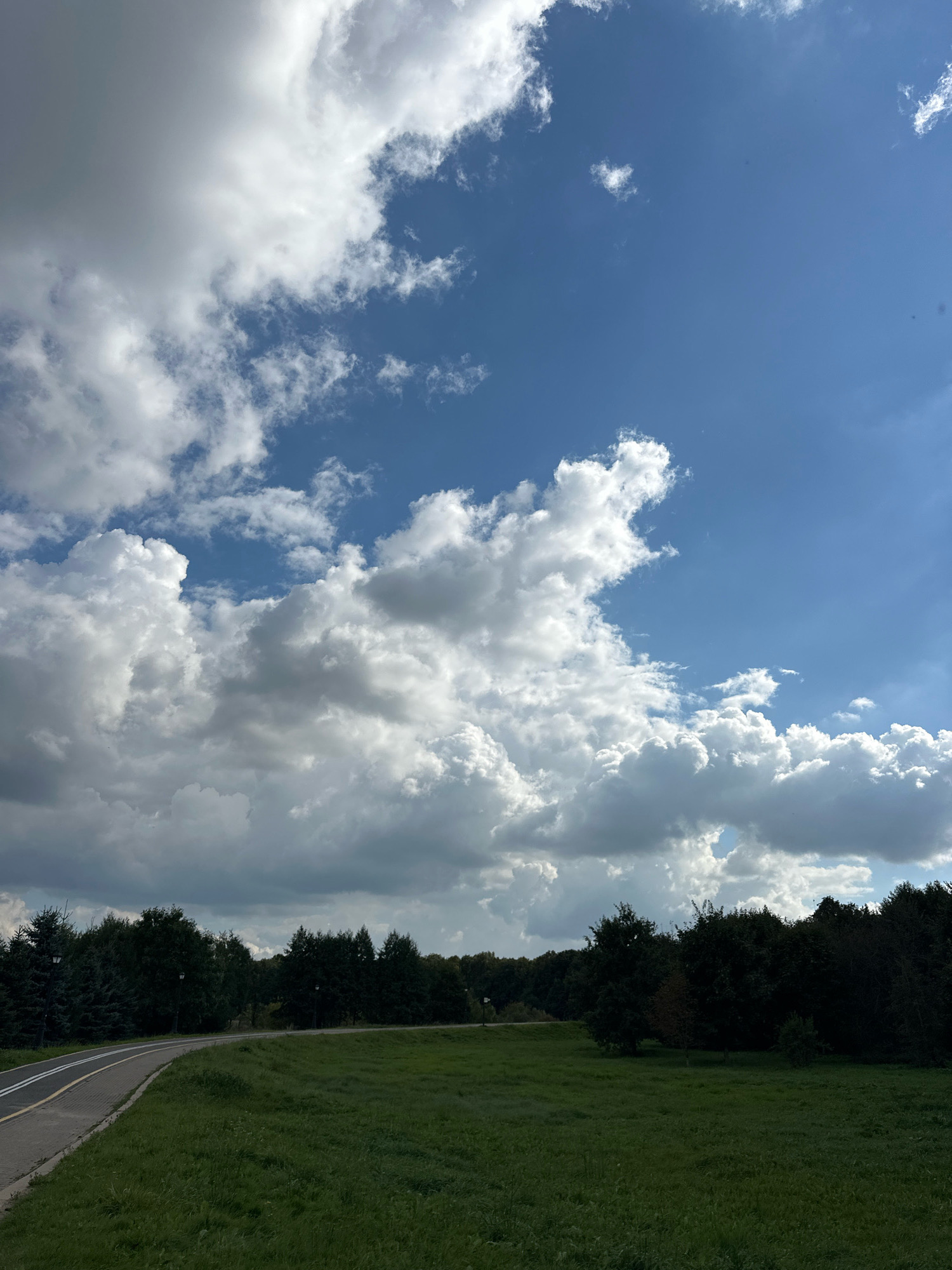 The image depicts a park path curving to the left, bordered by lush green grass on the right. A dense line of trees forms a dark backdrop across the middle ground, with streetlights visible within the treeline. The sky above is a vibrant blue, partially filled with dramatic, billowy white and gray clouds. The scene appears to be the Natsionalnyy Park Prirody Belorusskoye Poozerie in Minsk, Belarus. There are no people or animals visible in the frame.