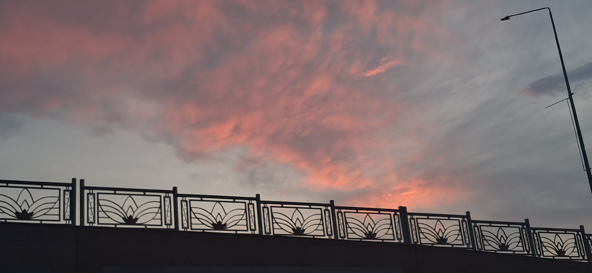 A street lamp stands tall against a dusky sky filled with clouds tinged pink and grey. Below, a dark railing with ornate, lotus-like patterns runs horizontally across the frame, silhouetted against the evening sky. The railing appears to be part of an overpass or bridge, and a dark structure beneath it suggests the presence of a road or walkway. The overall scene depicts a twilight urban landscape.