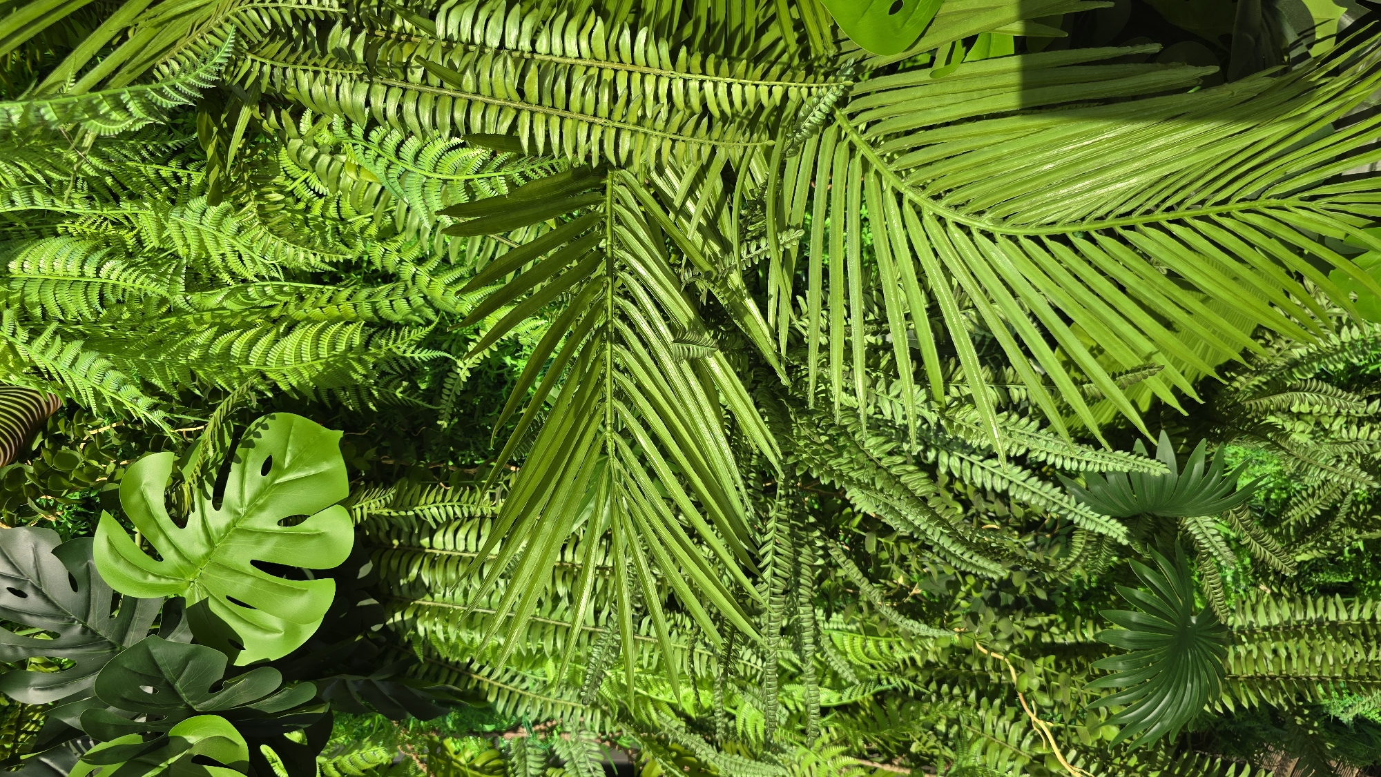 A detailed, close-up, overhead shot captures a dense, lush artificial wall garden composed entirely of various green artificial plants. Prominently featured are large, vibrant green Monstera leaves with their characteristic fenestrations, along with an abundance of delicate, feathery fern fronds in varying shades of green. Several broad, palm-like leaves, with long, slender leaflets radiating from a central stem, are also visible, creating layers of texture and depth. The overall impression is one of a vibrant, tropical, and meticulously arranged green wall, with no discernable natural elements, people, or specific location identifiable within the frame beyond its classification as a plant-based decorative installation.