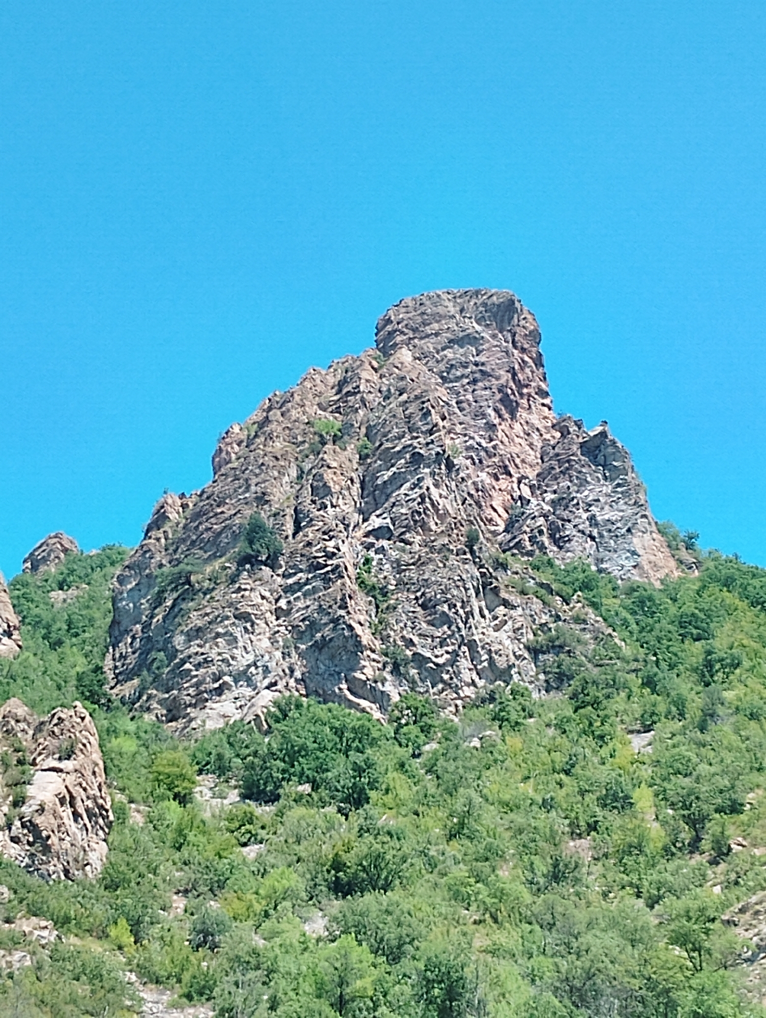 The image captures a towering, rugged mountain peak bathed in bright sunlight against a clear, vibrant blue sky. The mountain is predominantly composed of grey and brown rock, with visible layers and fissures indicating its geological formation. Lush green vegetation, consisting of trees and shrubs, covers the lower slopes of the mountain, creating a stark contrast with the barren rock face. The scene appears to be a natural landscape, likely a mountainous region. Based on the provided information, this location is in the city of Krupnik, Bulgaria, known for its mountainous terrain. There are no people or discernible human activity depicted in the image. The focus is solely on the natural environment.