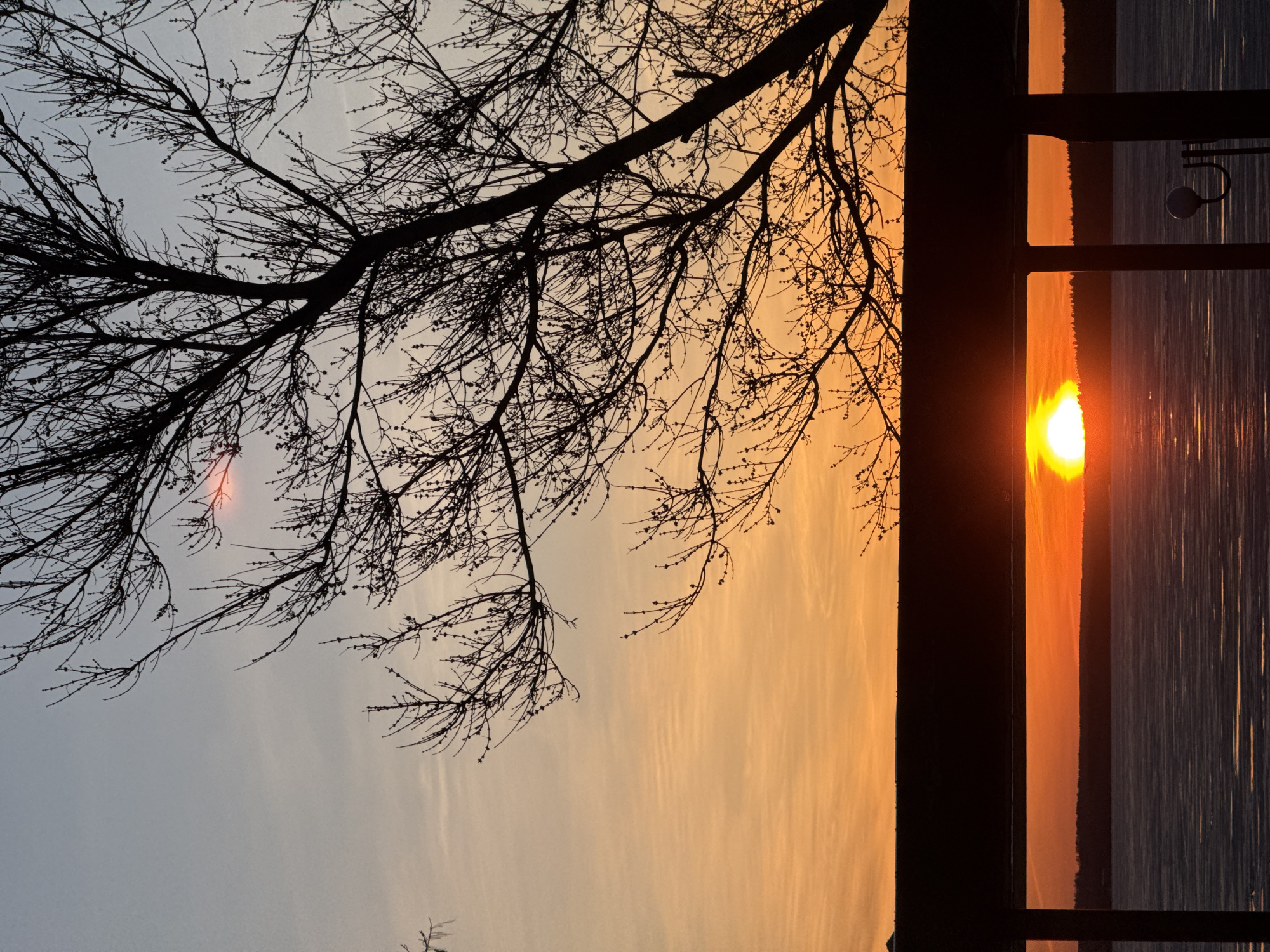 A photo captures a sunset viewed through a window, possibly from a building in Votkinsk, Russia. A bare tree branch stretches across the top left of the frame, silhouetted against the sky. The sunset, positioned slightly off-center to the right, reflects in the water visible through the window. The window frame is visible as a dark vertical structure dividing the image. The environment appears calm with muted colors dominated by oranges, grays, and blacks.