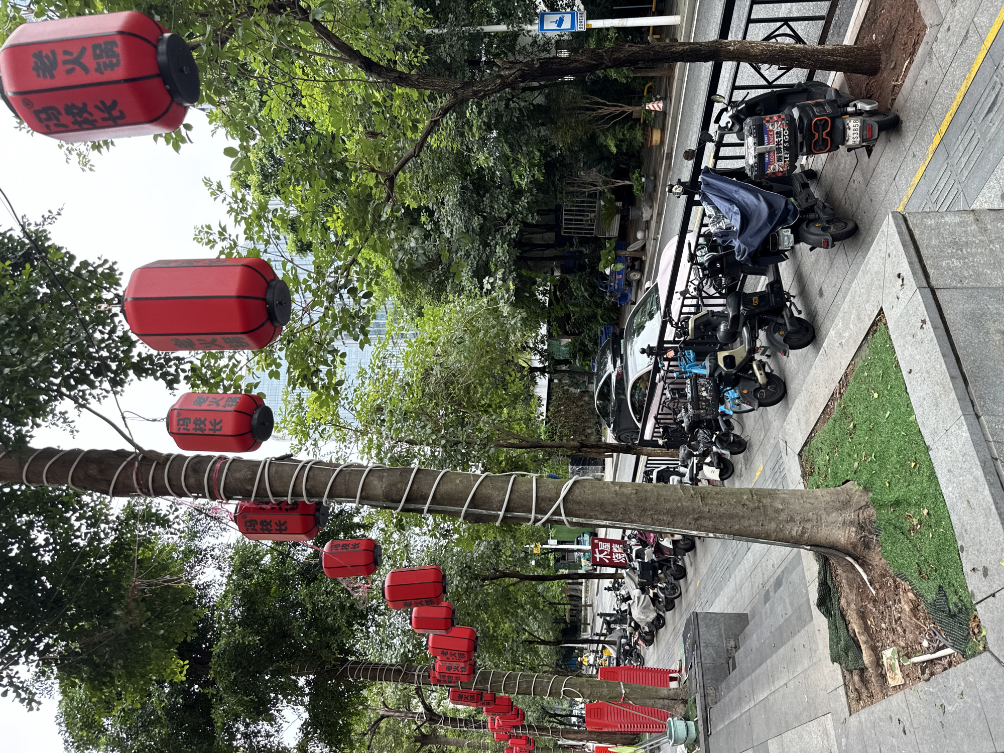 This is a medium shot of a street scene in Haizhu District, China. The foreground shows a sidewalk with a tree wrapped in white rope, from which red lanterns are hanging. There are several electric scooters parked along the sidewalk, some covered with tarps. In the background, there is a street with cars and more trees. The sky is overcast. The image appears to have been taken during the day.