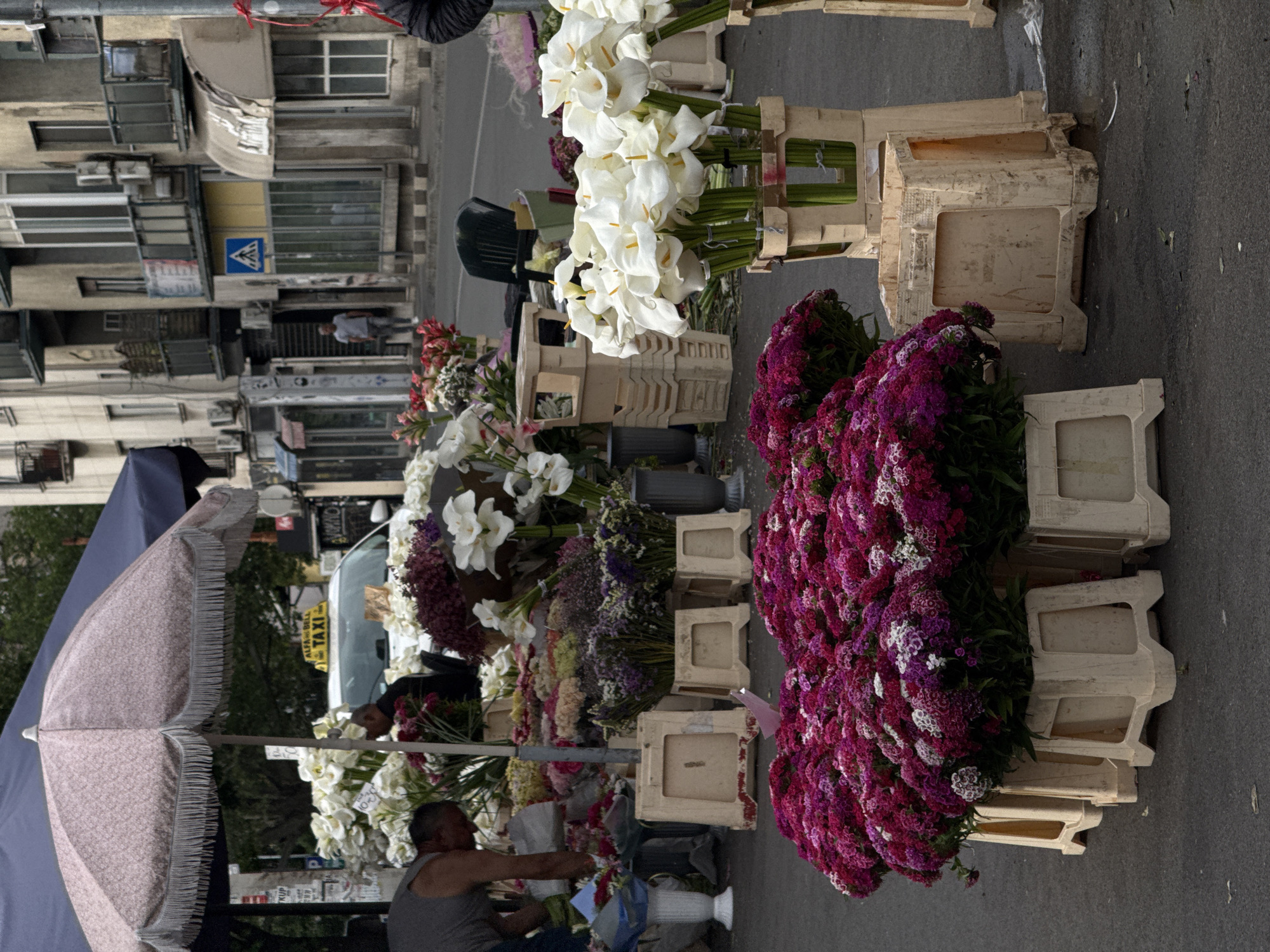 The image depicts a flower market in Vracar Urban Municipality, Serbia. The market is set up on a paved street next to buildings, with the flower stands oriented along the street. A man wearing a grey tank top is attending to the flowers, working at a stand under a patterned umbrella. The flower arrangements are prominently displayed in white plastic crates. Various types of flowers are present including white calla lilies, red and white flowers, and a significant quantity of purple flowers. A car can be seen in the background next to flowers on the car.
