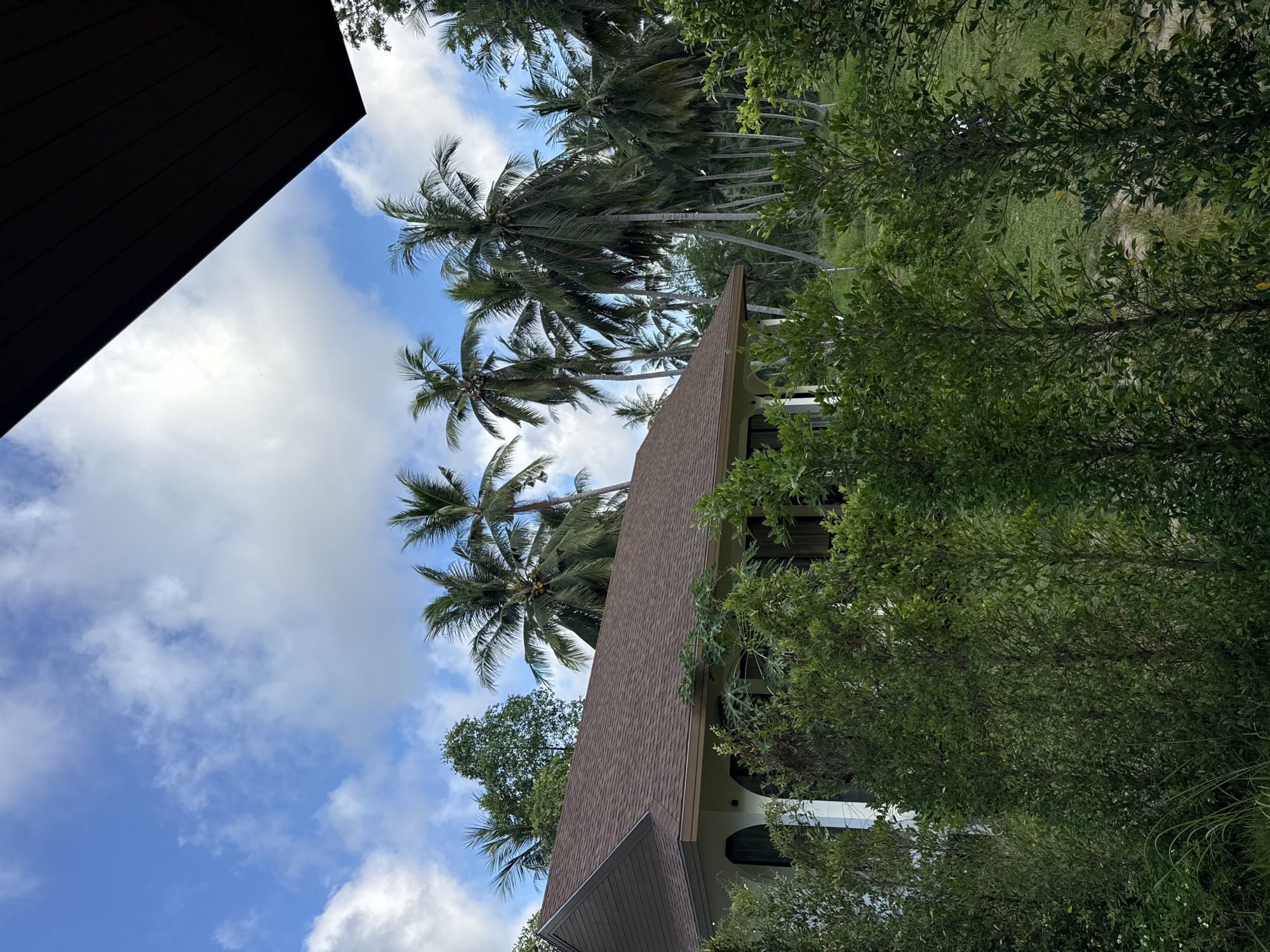 A tropical scene is captured with a view of a house and surrounding vegetation under a bright blue sky with scattered white clouds. The house features a brown, shingled roof and a portion of its white exterior wall is visible, with arched window openings. In the foreground, dense green bushes and trees partially obscure the view of the house. Behind the house, a cluster of tall coconut palm trees with fronds sway gently. The environment appears lush and green, indicative of a tropical climate. The image was taken in Tambon Ko Pha Ngan, Thailand.